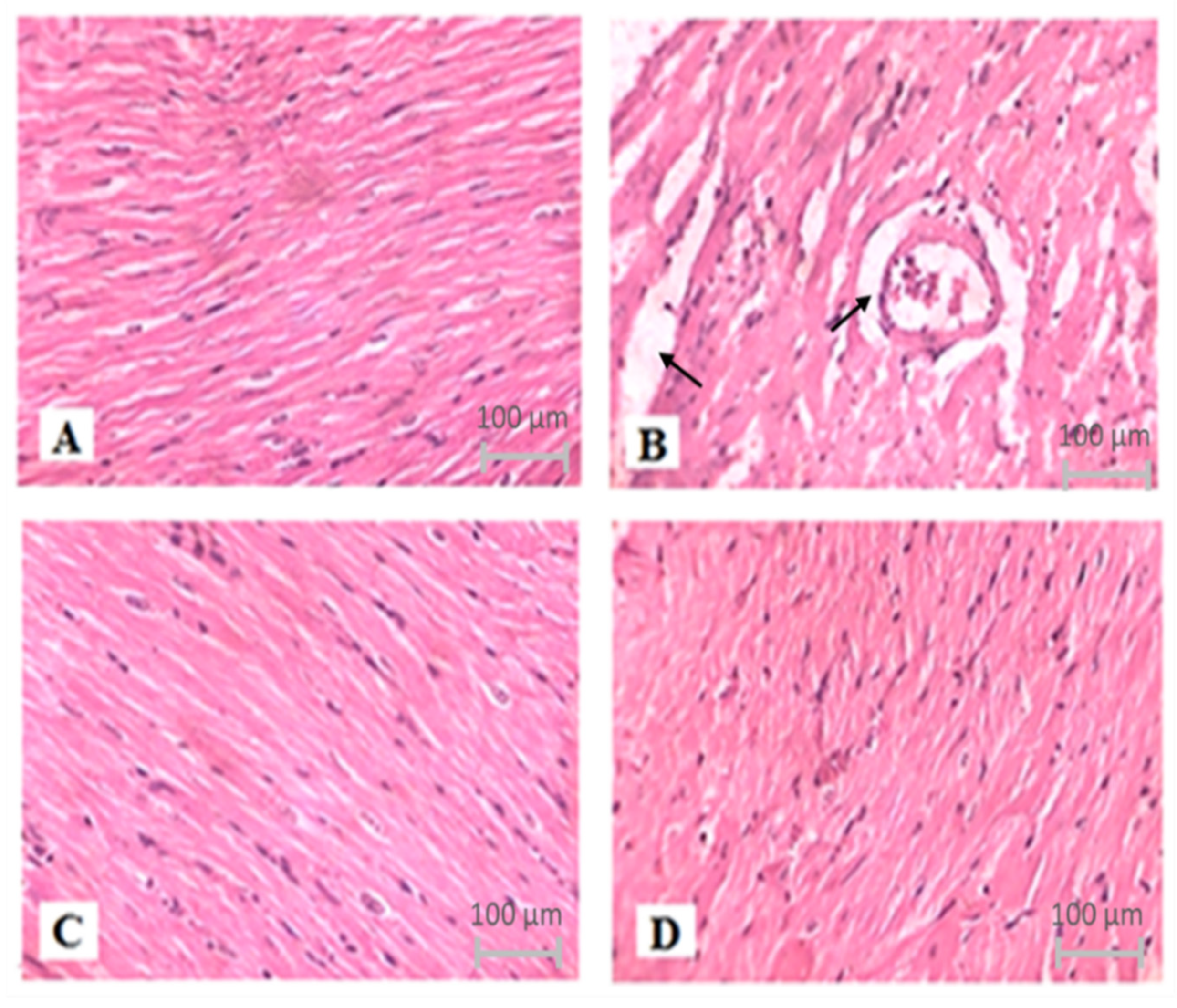 Nutrients 14 02742 g007