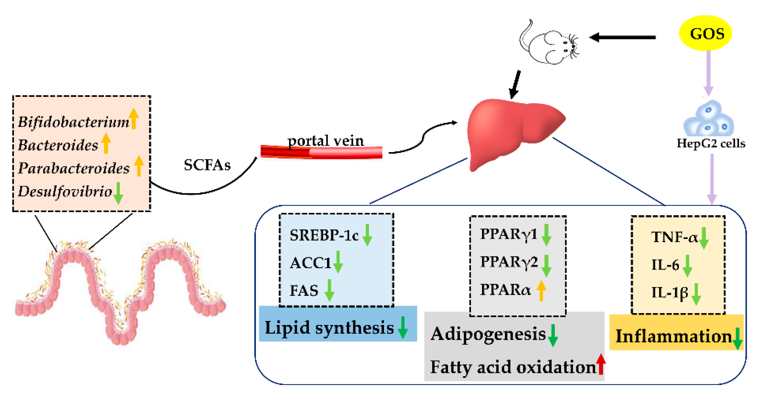Nutrients 14 02749 g013
