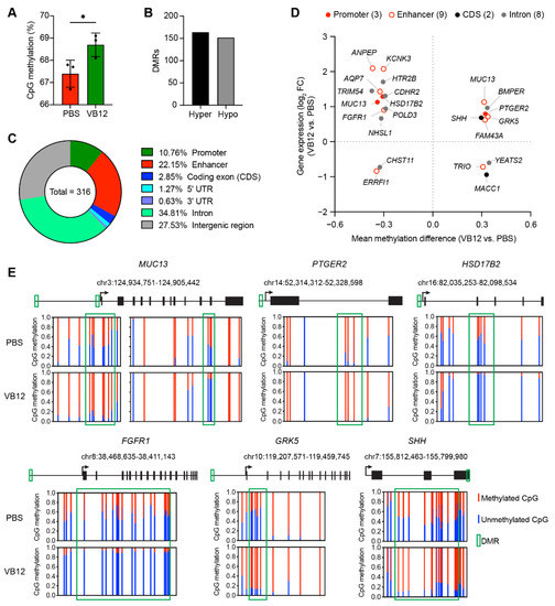 Nutrients | Free Full-Text | Vitamin B12 Regulates the Transcriptional,  Metabolic, and Epigenetic Programing in Human Ileal Epithelial Cells