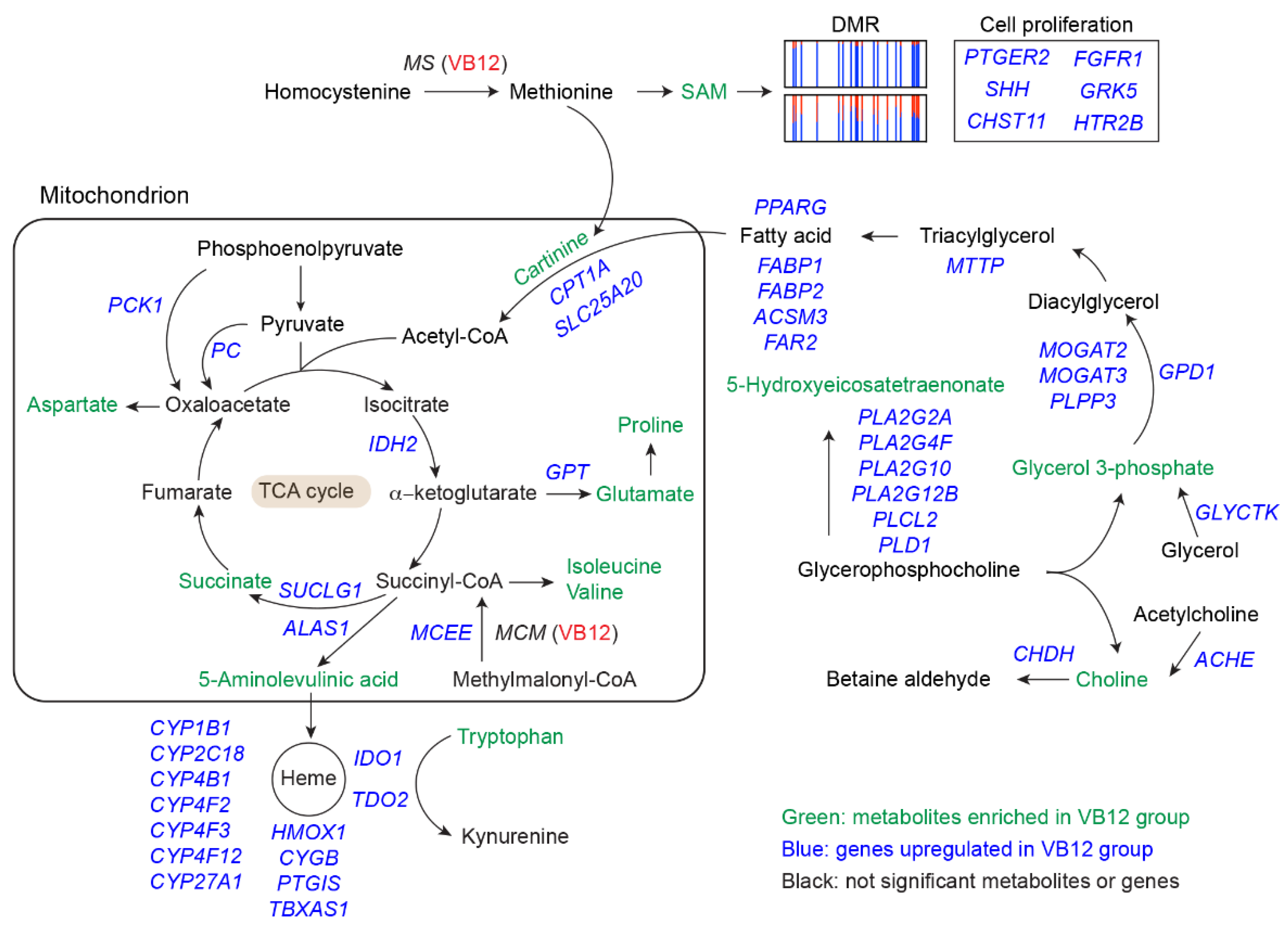 Nutrients 14 02825 g005