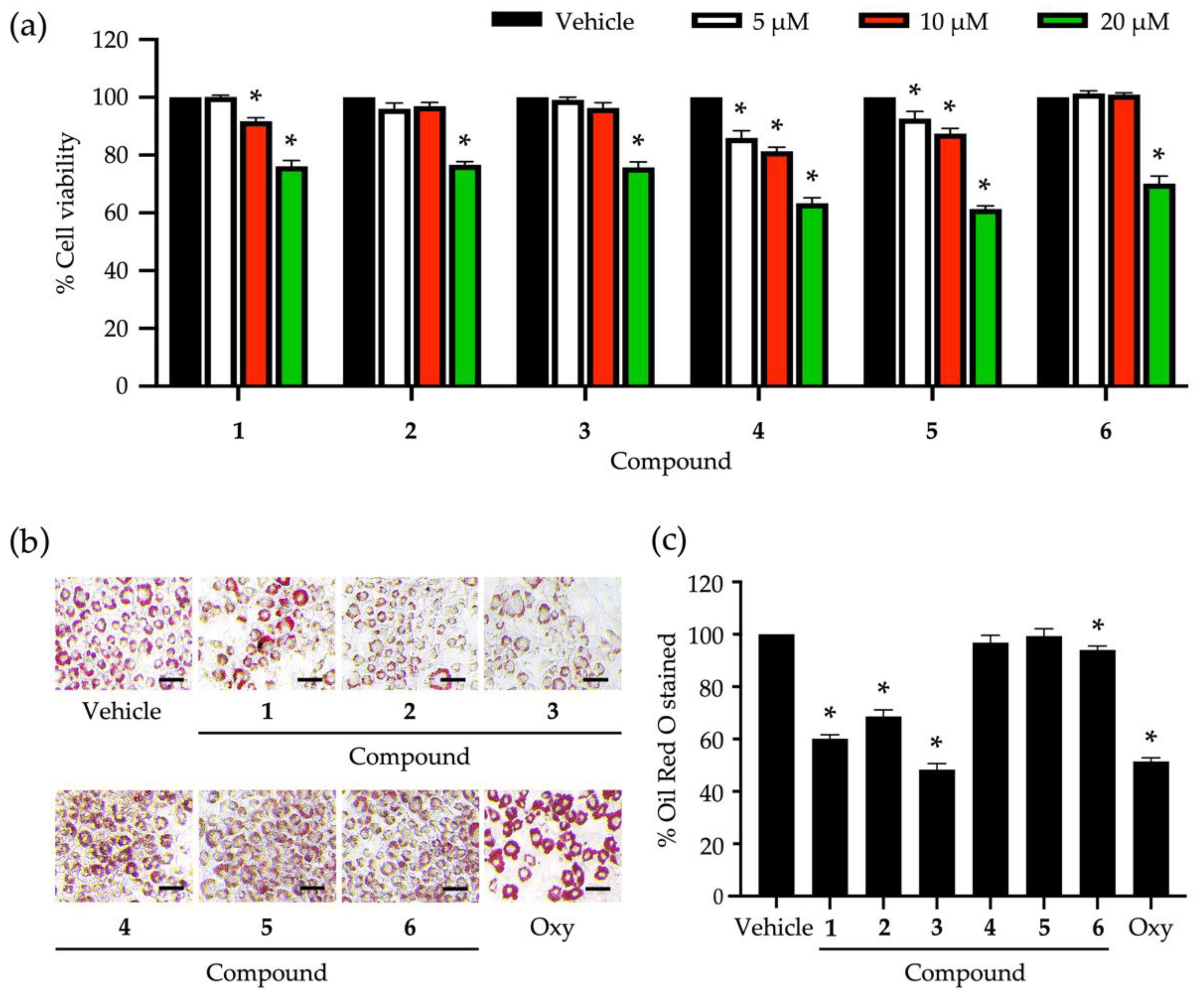 Nutrients 14 02886 g002