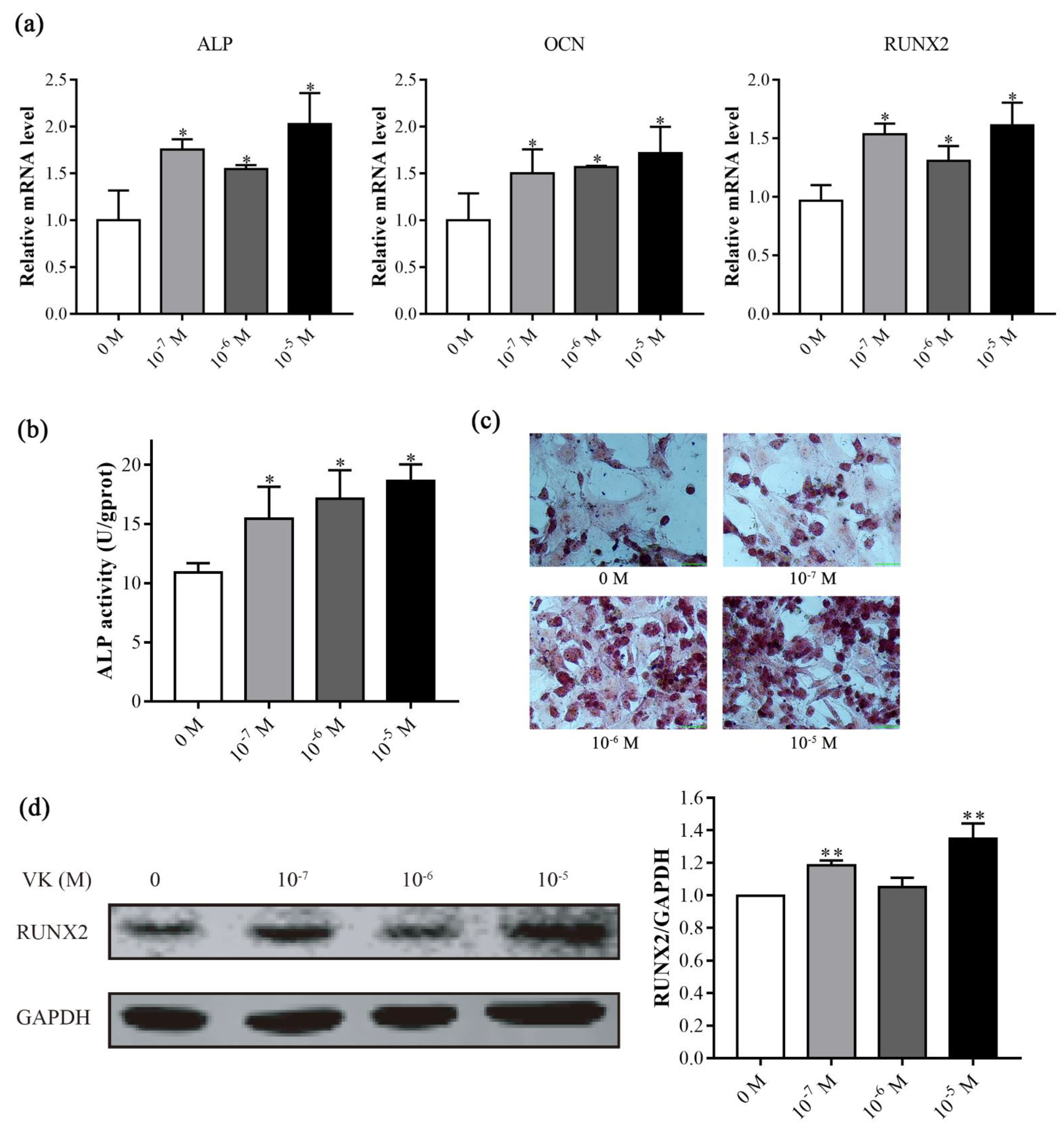 Nutrients 14 02934 g002 Nutrients 14 02934 g002