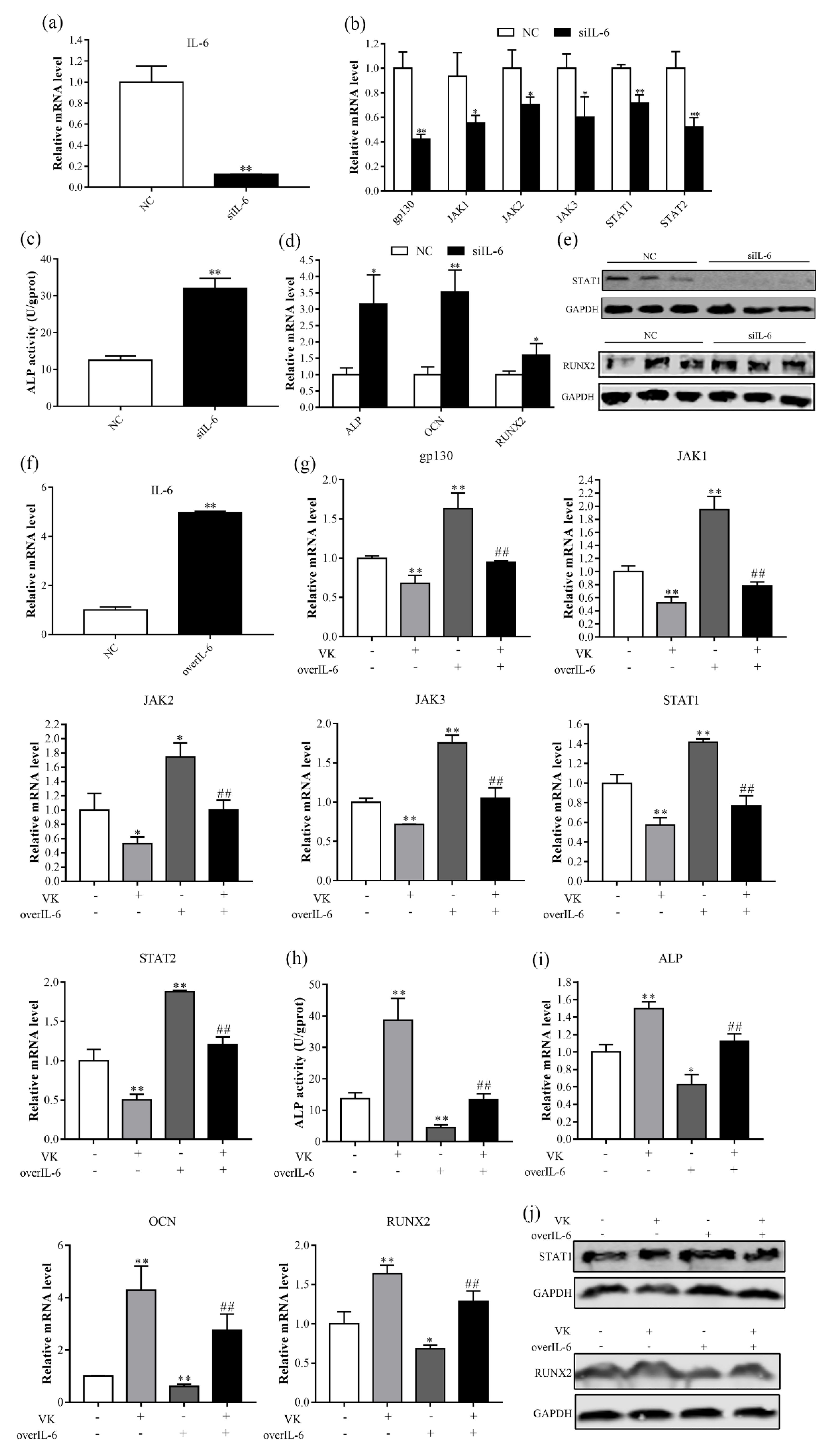 Nutrients 14 02934 g006 Nutrients 14 02934 g006