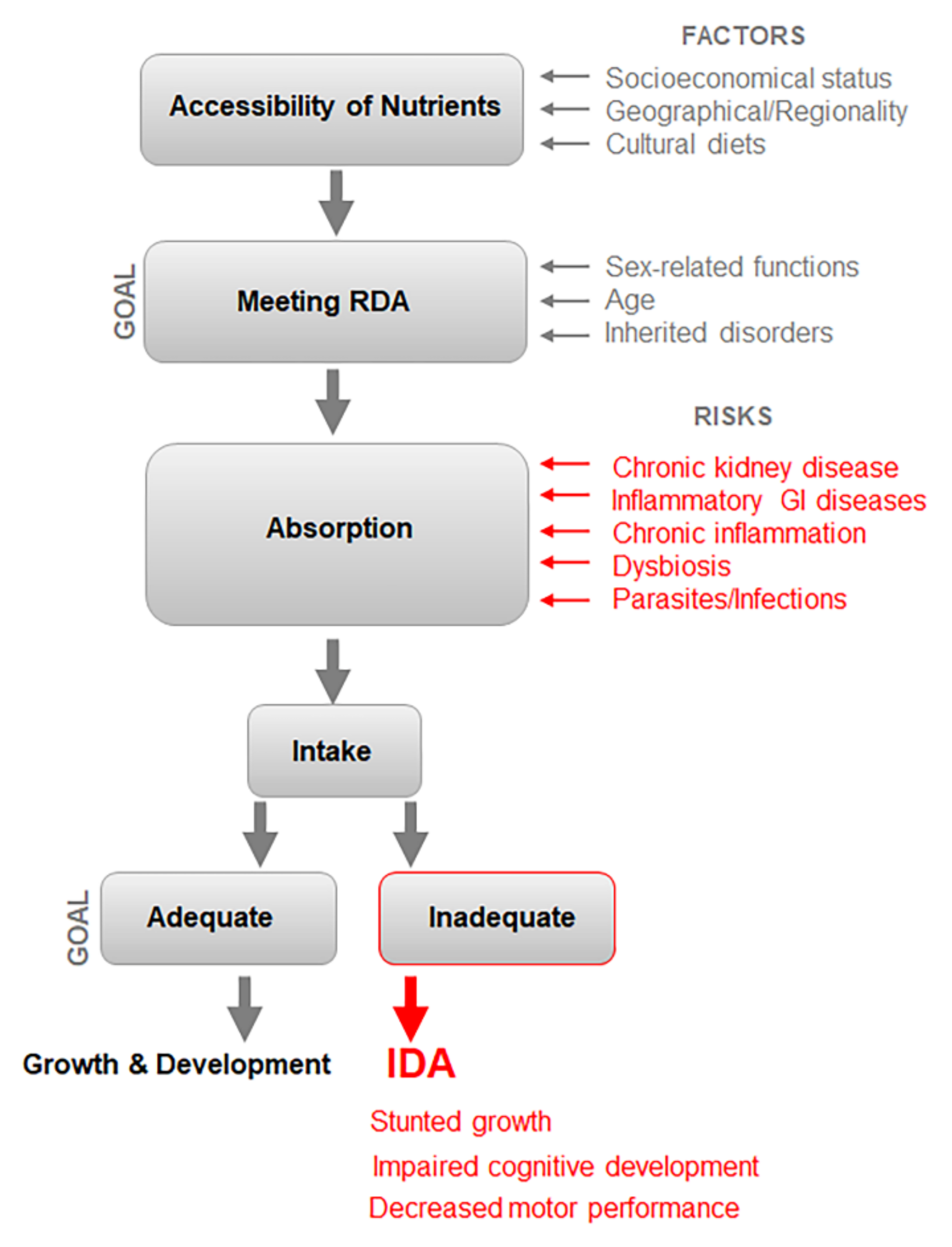 Nutrients 14 02976 g002 Nutrients 14 02976 g002