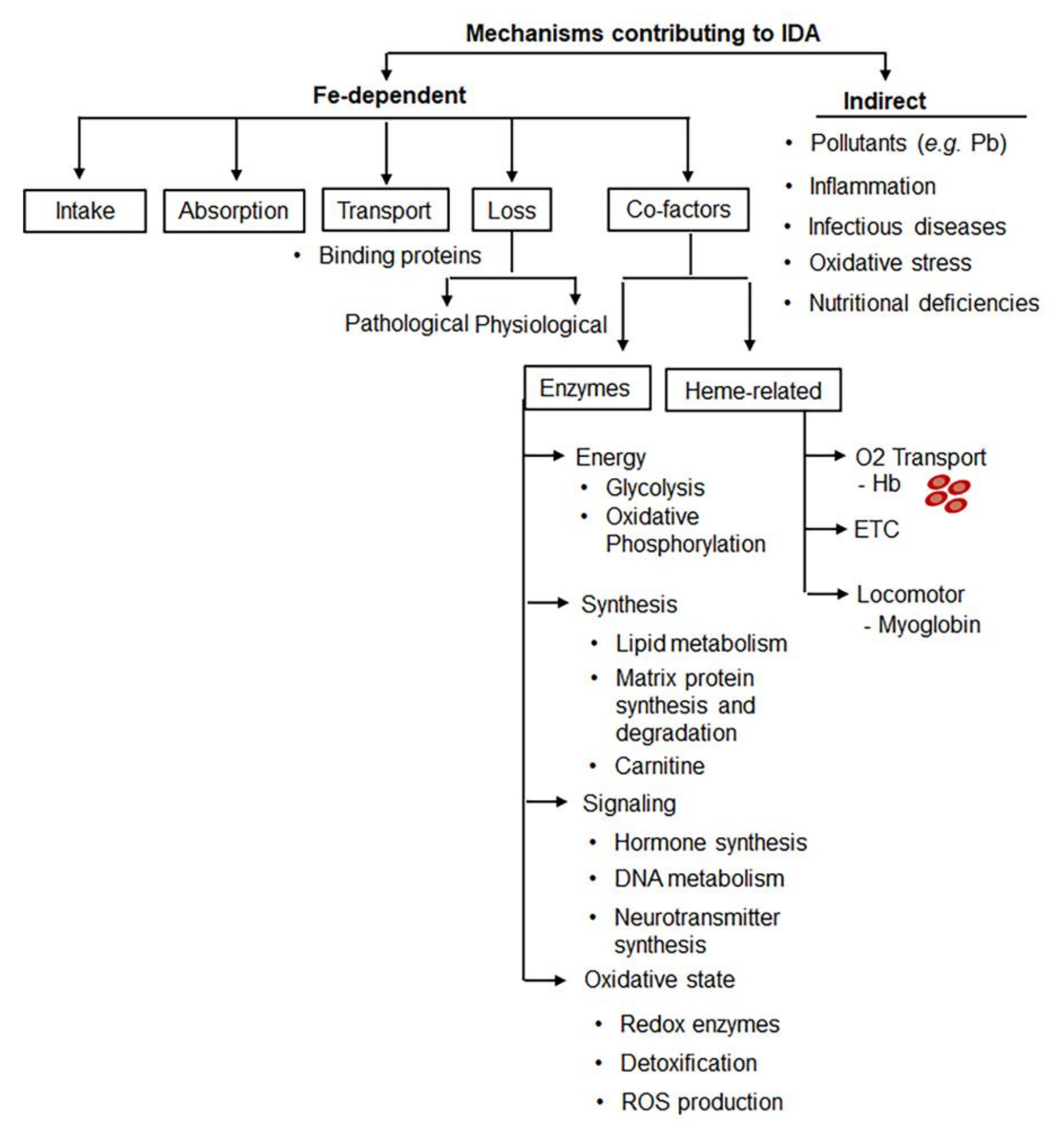 Nutrients 14 02976 g003 Nutrients 14 02976 g003