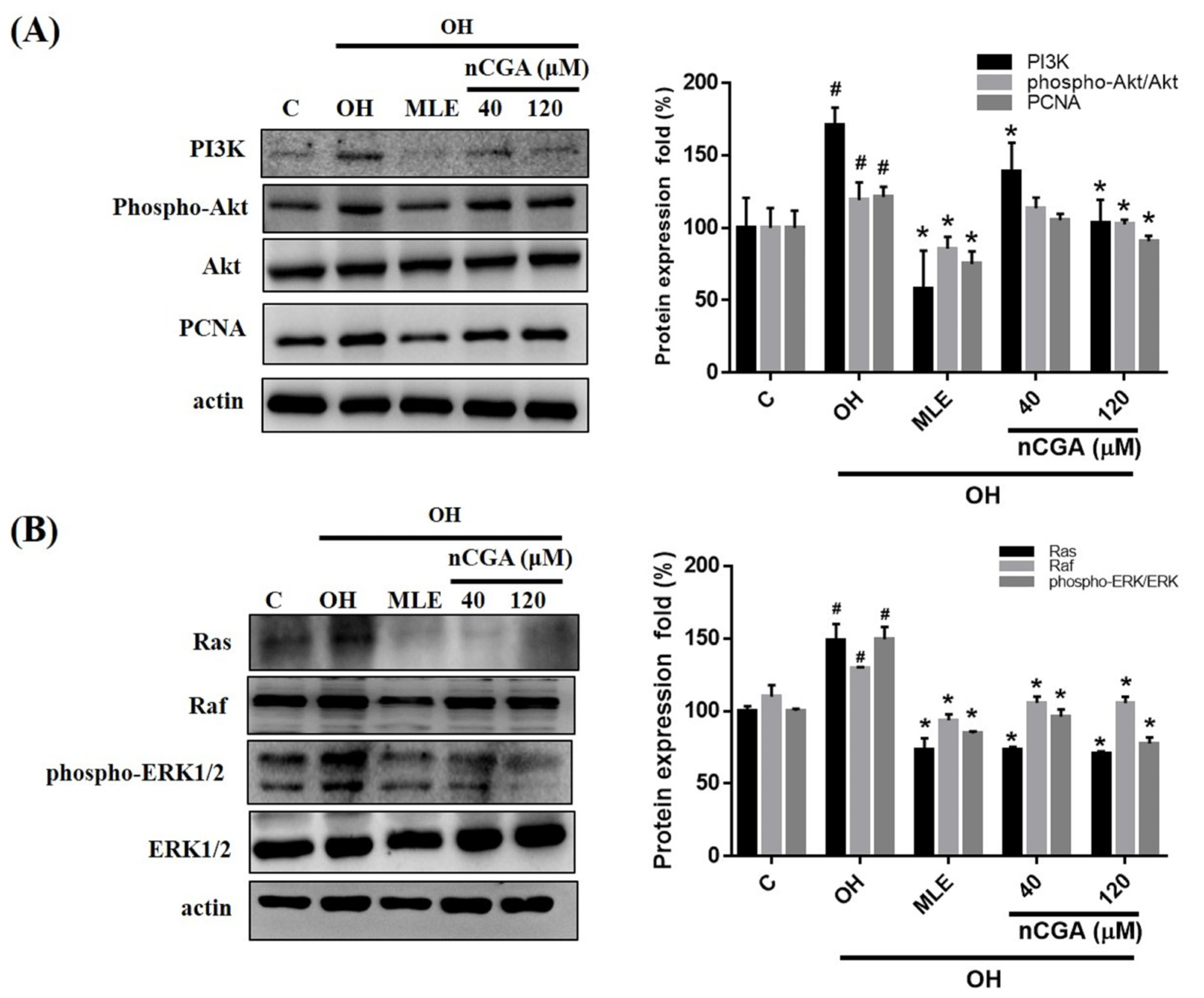 Nutrients 14 03006 g004