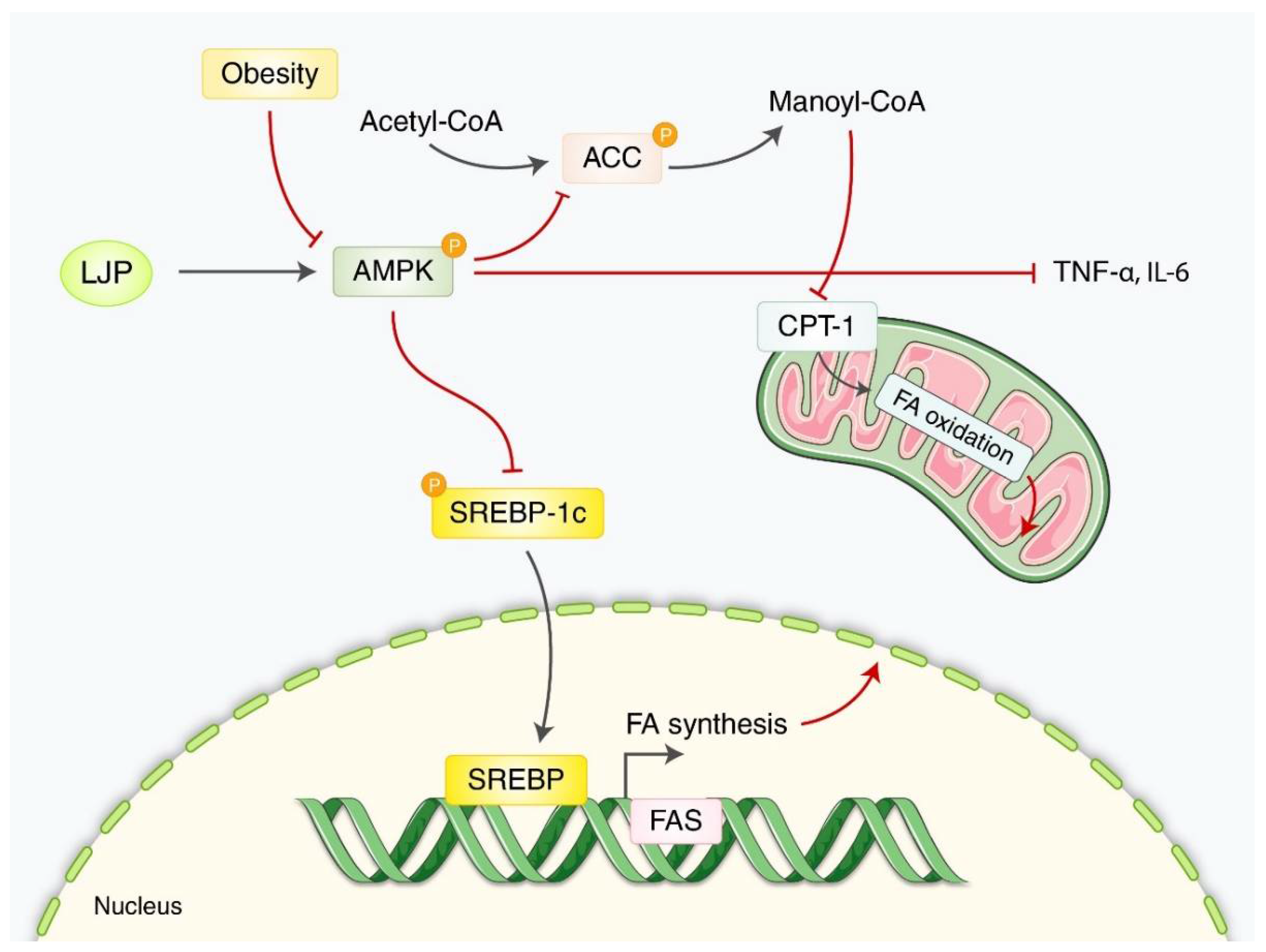 Nutrients 14 03046 g003 Nutrients 14 03046 g003