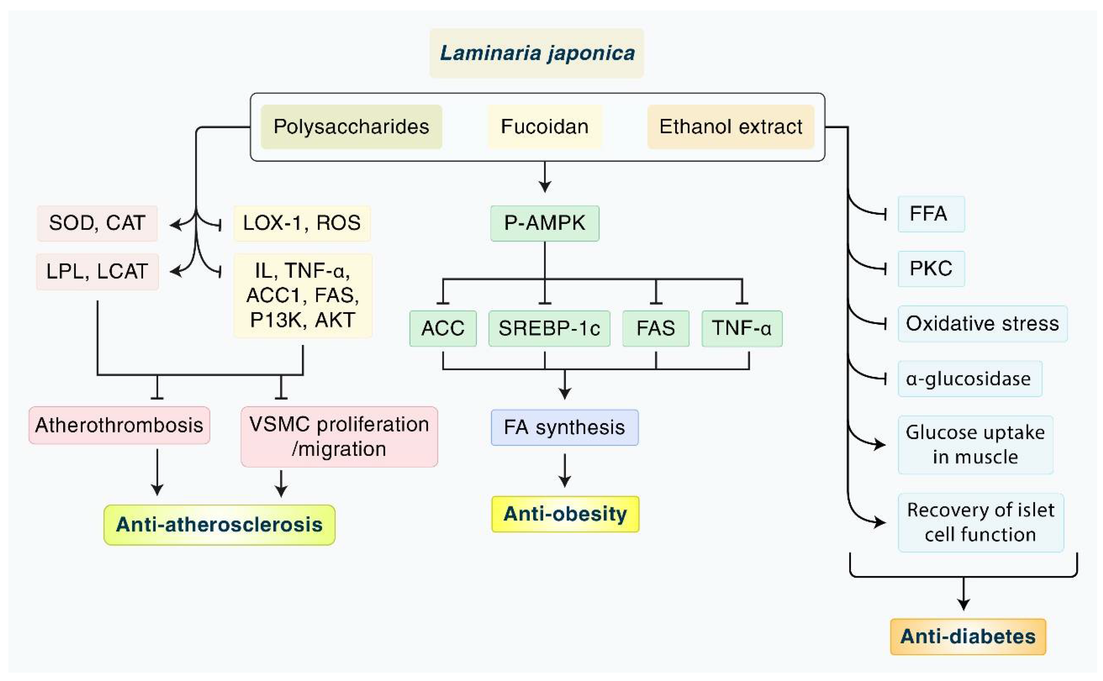 Nutrients 14 03046 g005 Nutrients 14 03046 g005