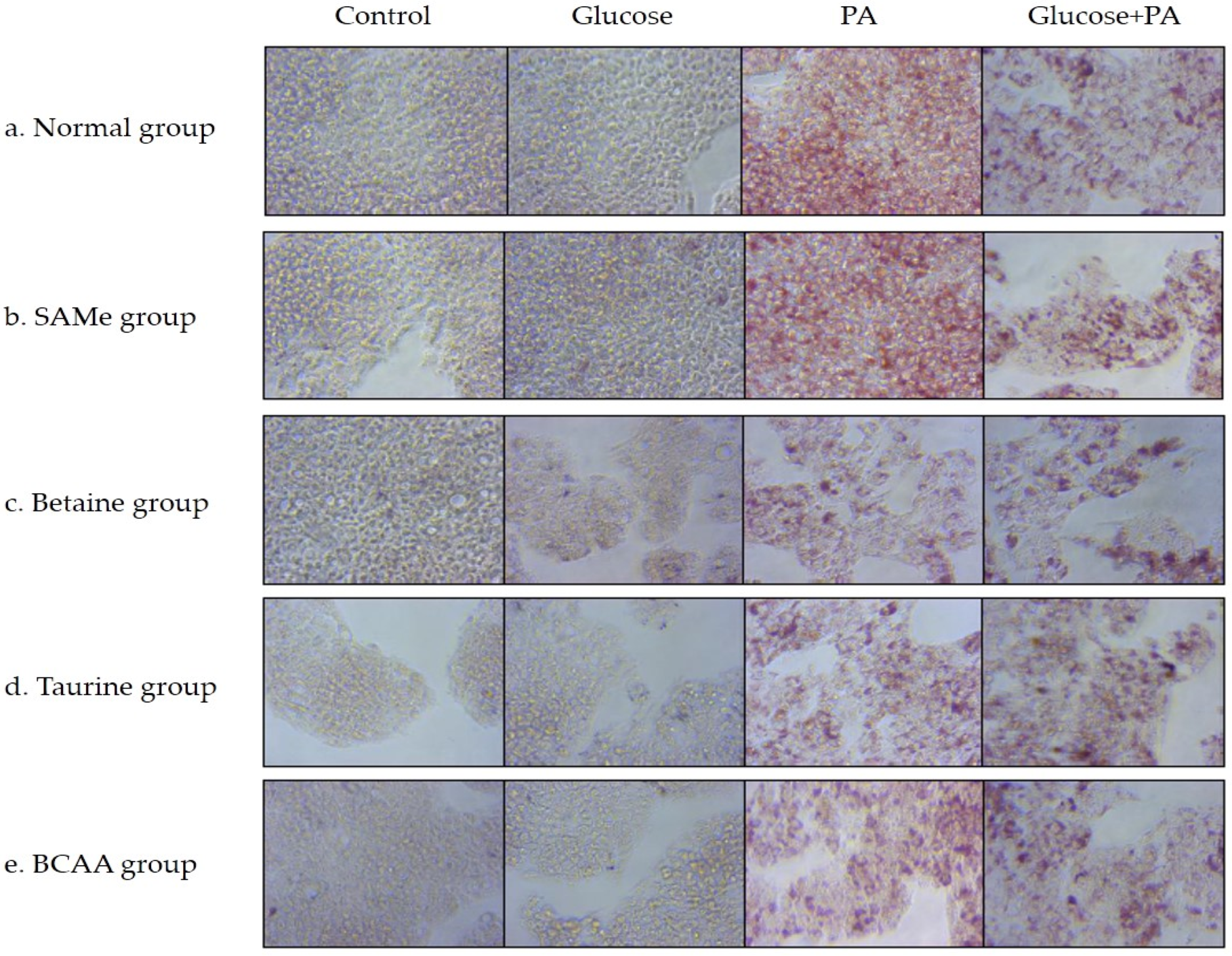 Nutrients 14 03050 g002