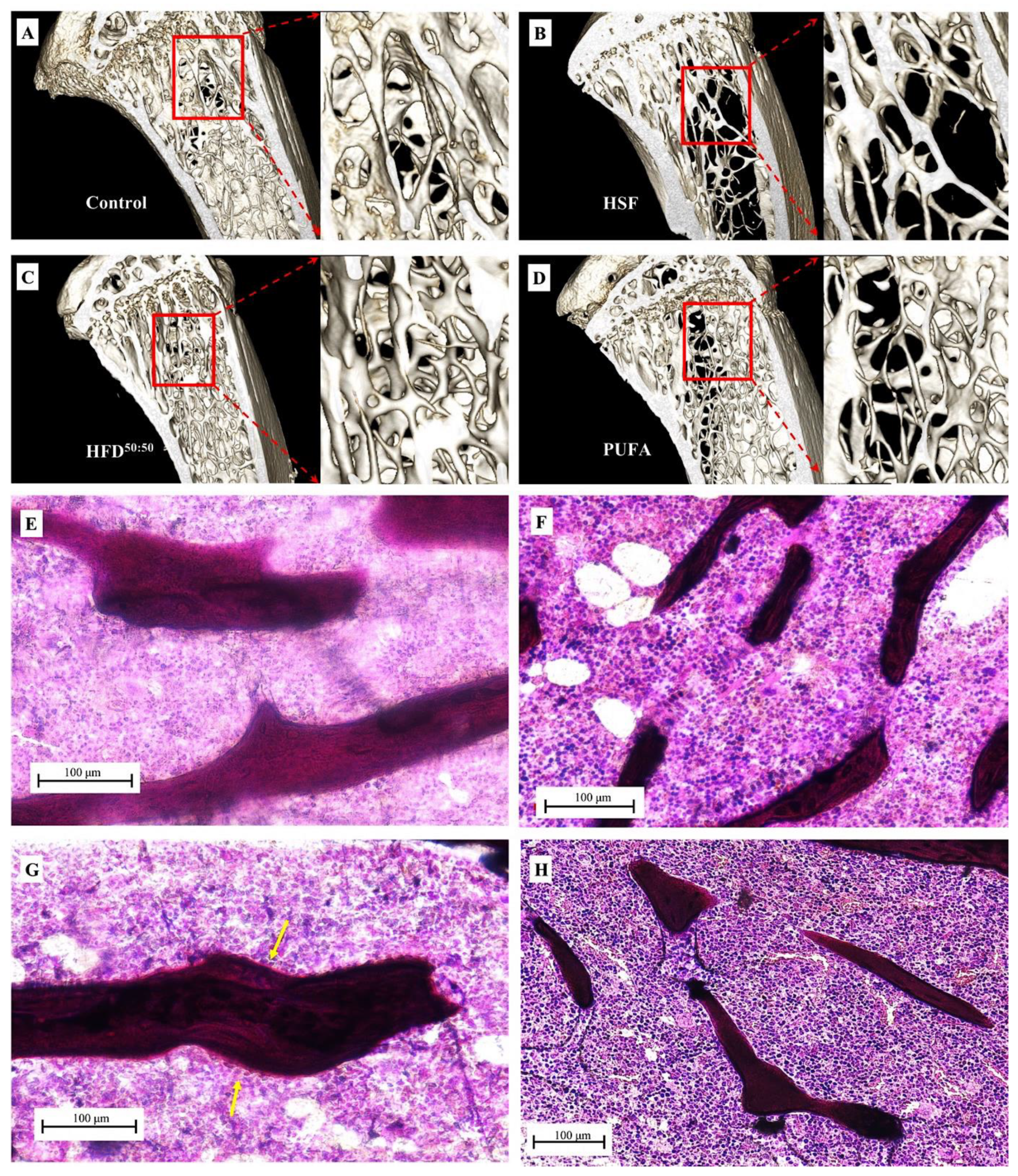 Nutrients 14 03165 g007 Nutrients 14 03165 g007