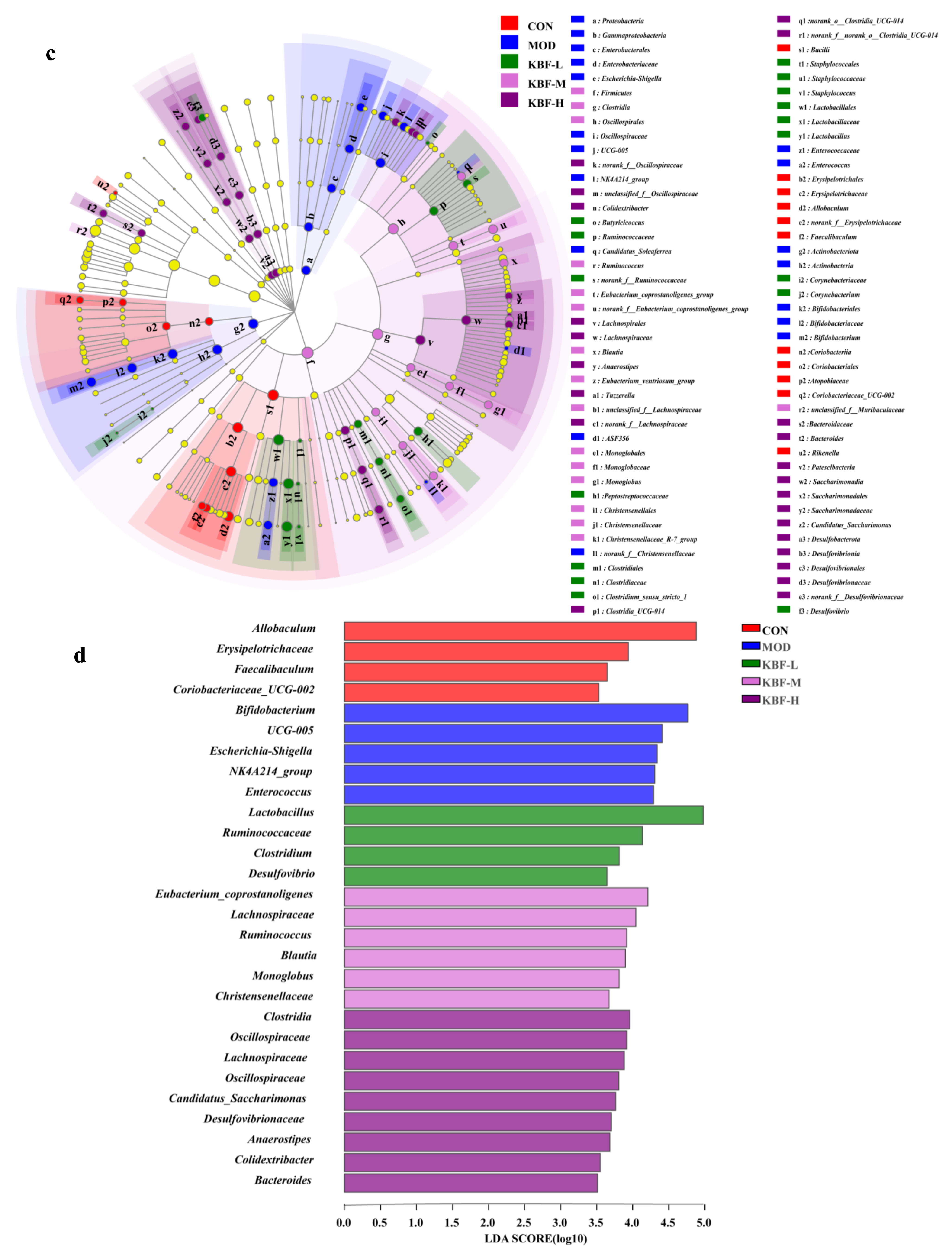 Nutrients 14 03202 g006b