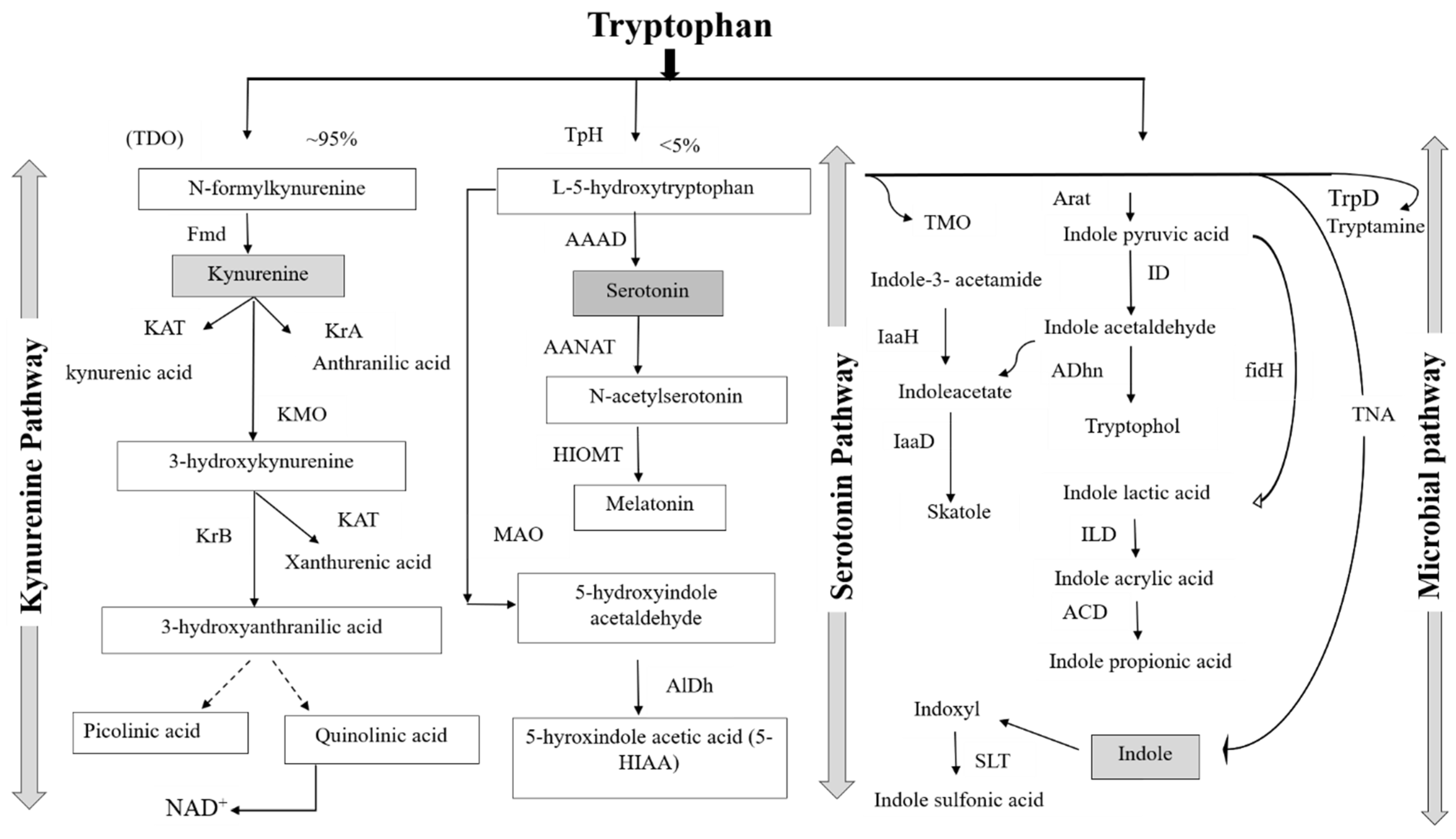 Nutrients 14 03270 g001