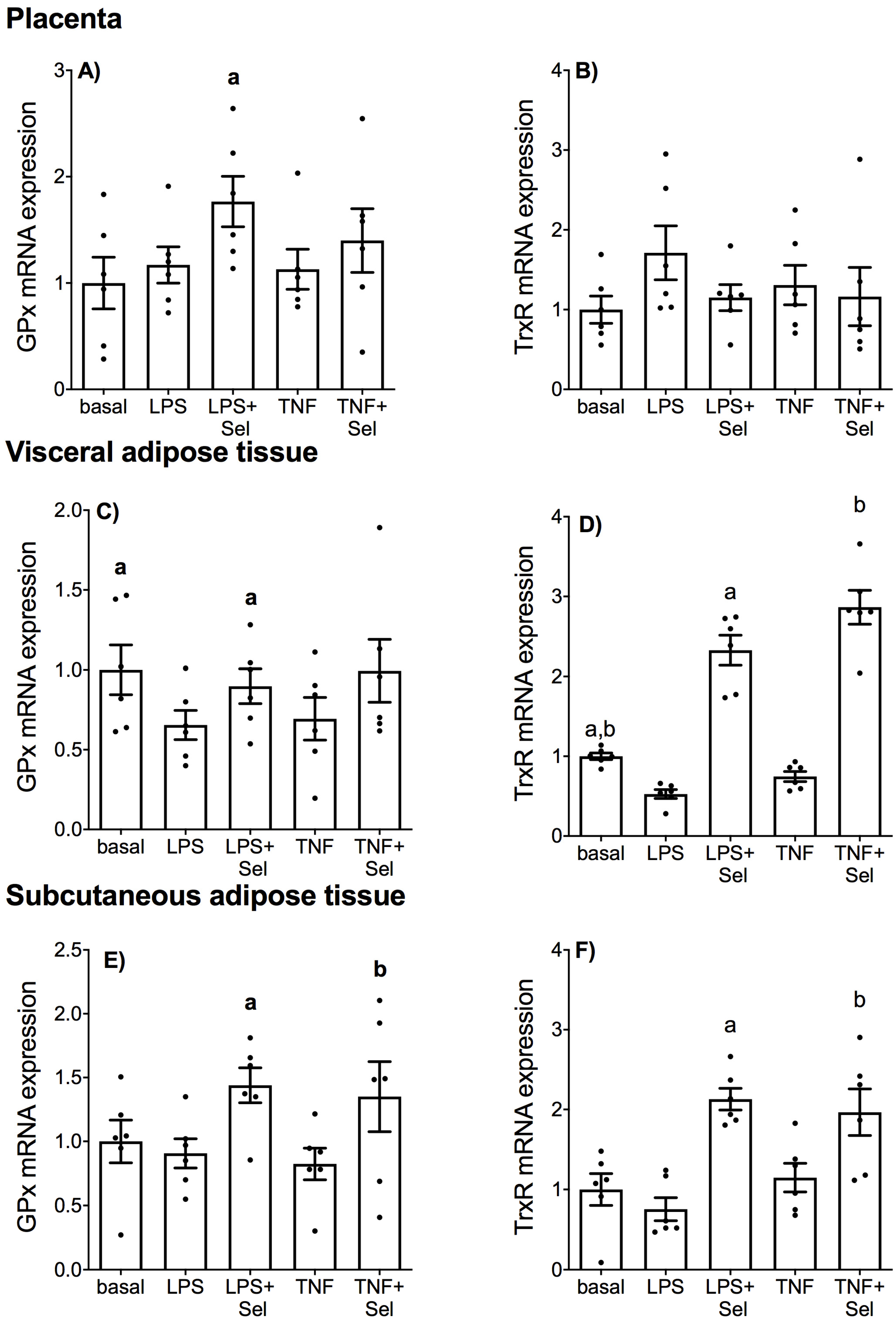 Nutrients 14 03286 g010 Nutrients 14 03286 g010
