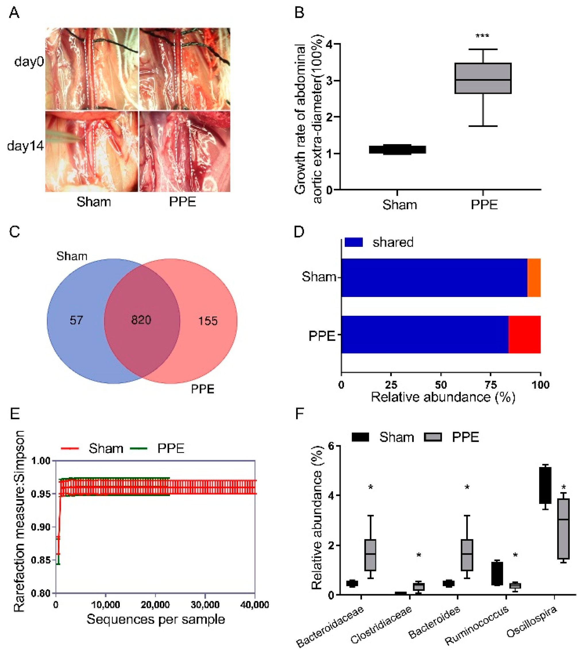 Nutrients | Free Full-Text | Effects of Spermidine on Gut Microbiota  Modulation in Experimental Abdominal Aortic Aneurysm Mice
