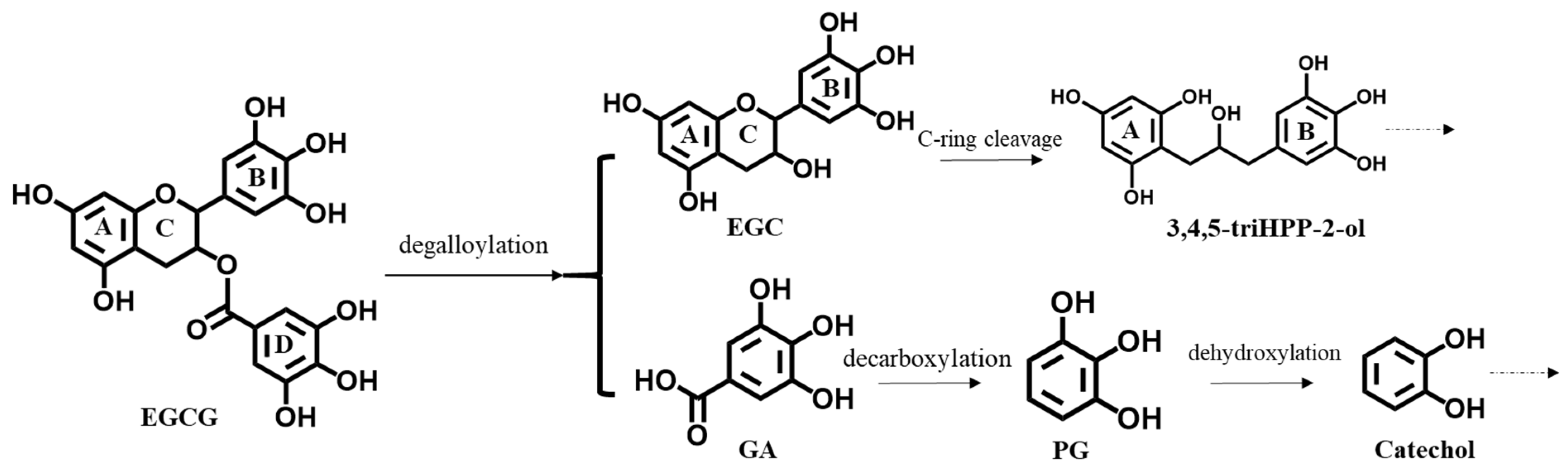 Nutrients 14 03392 g001