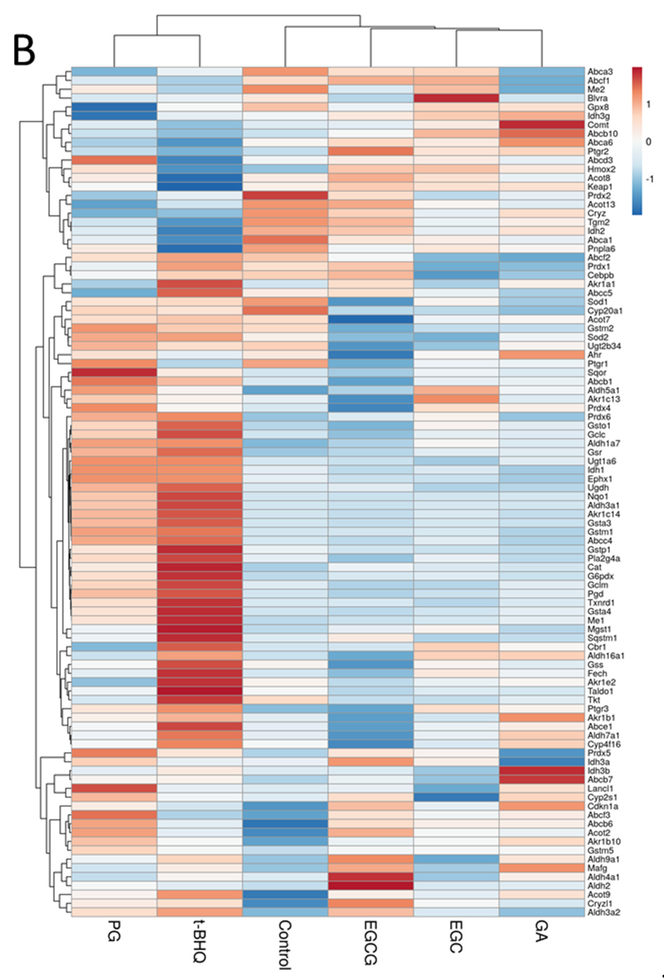 Nutrients 14 03392 g003b
