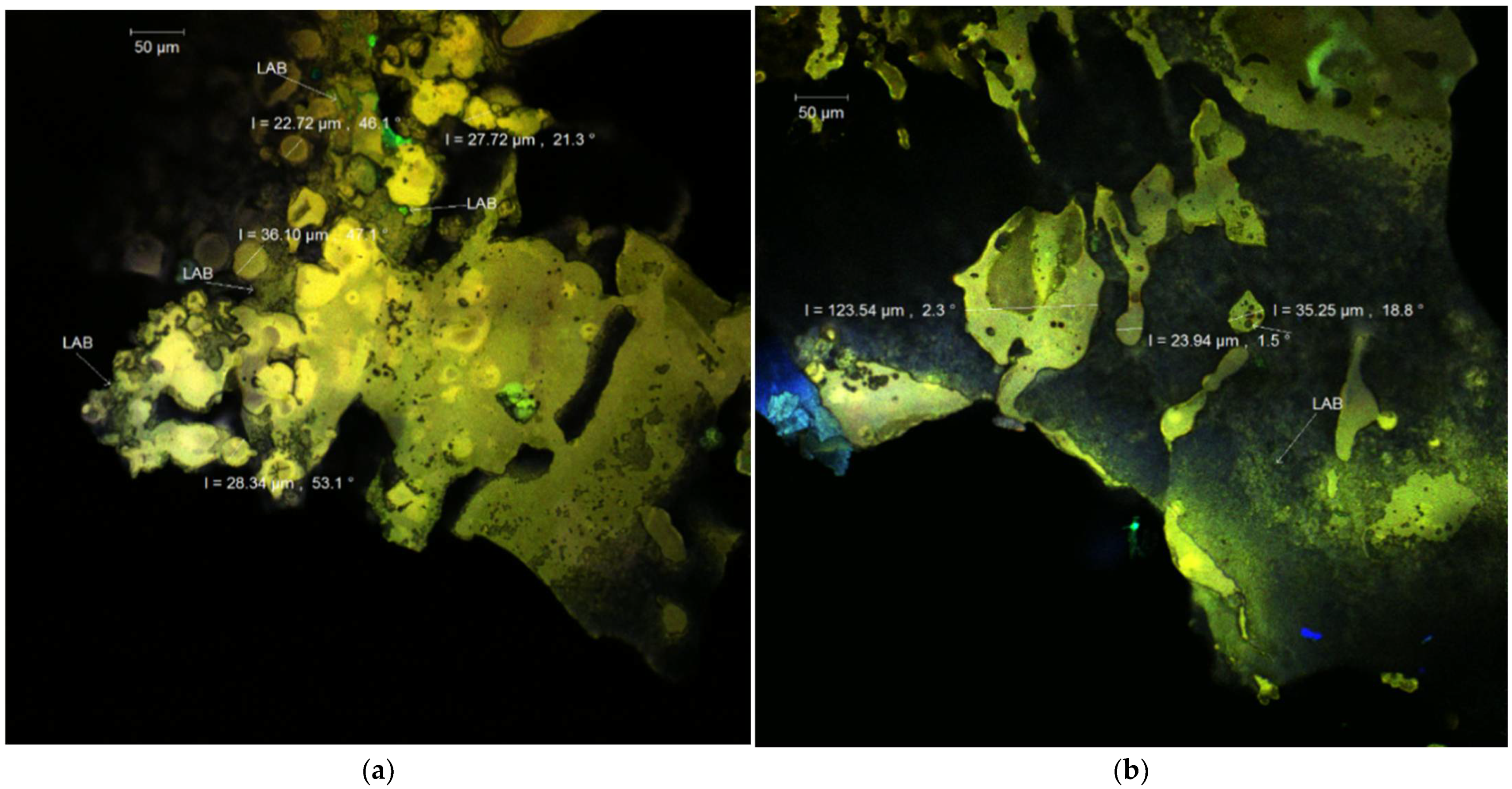 Nutrients 14 03458 g001