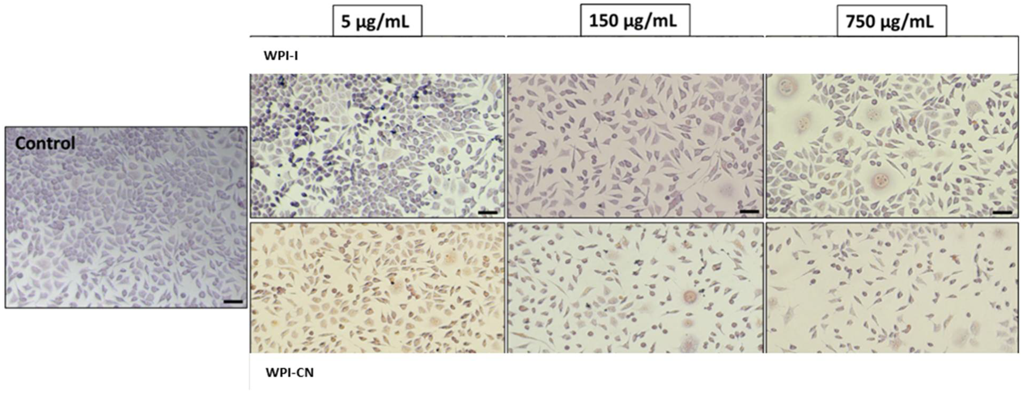 Nutrients 14 03458 g007
