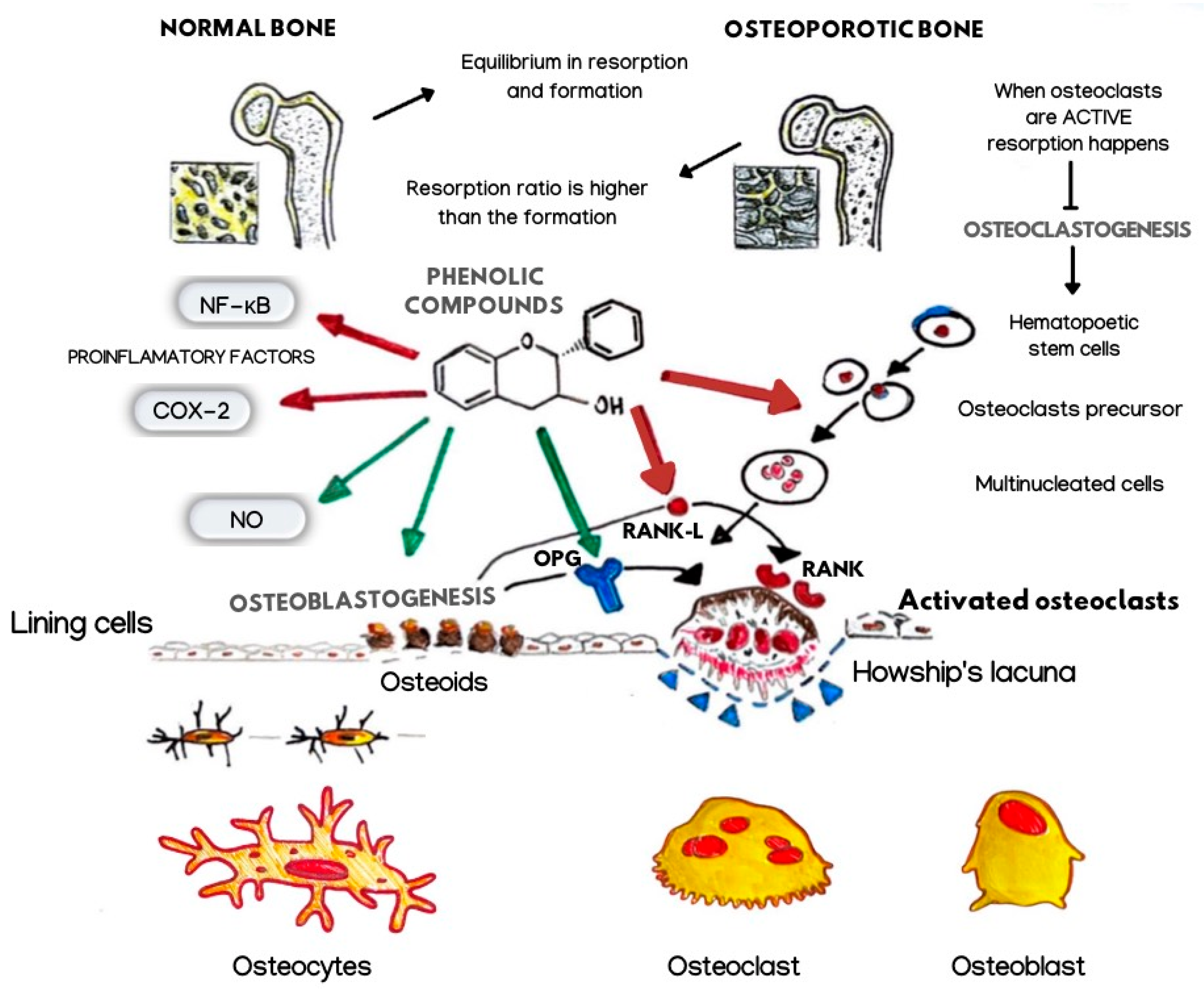 Nutrients 14 03519 g006 Nutrients 14 03519 g006