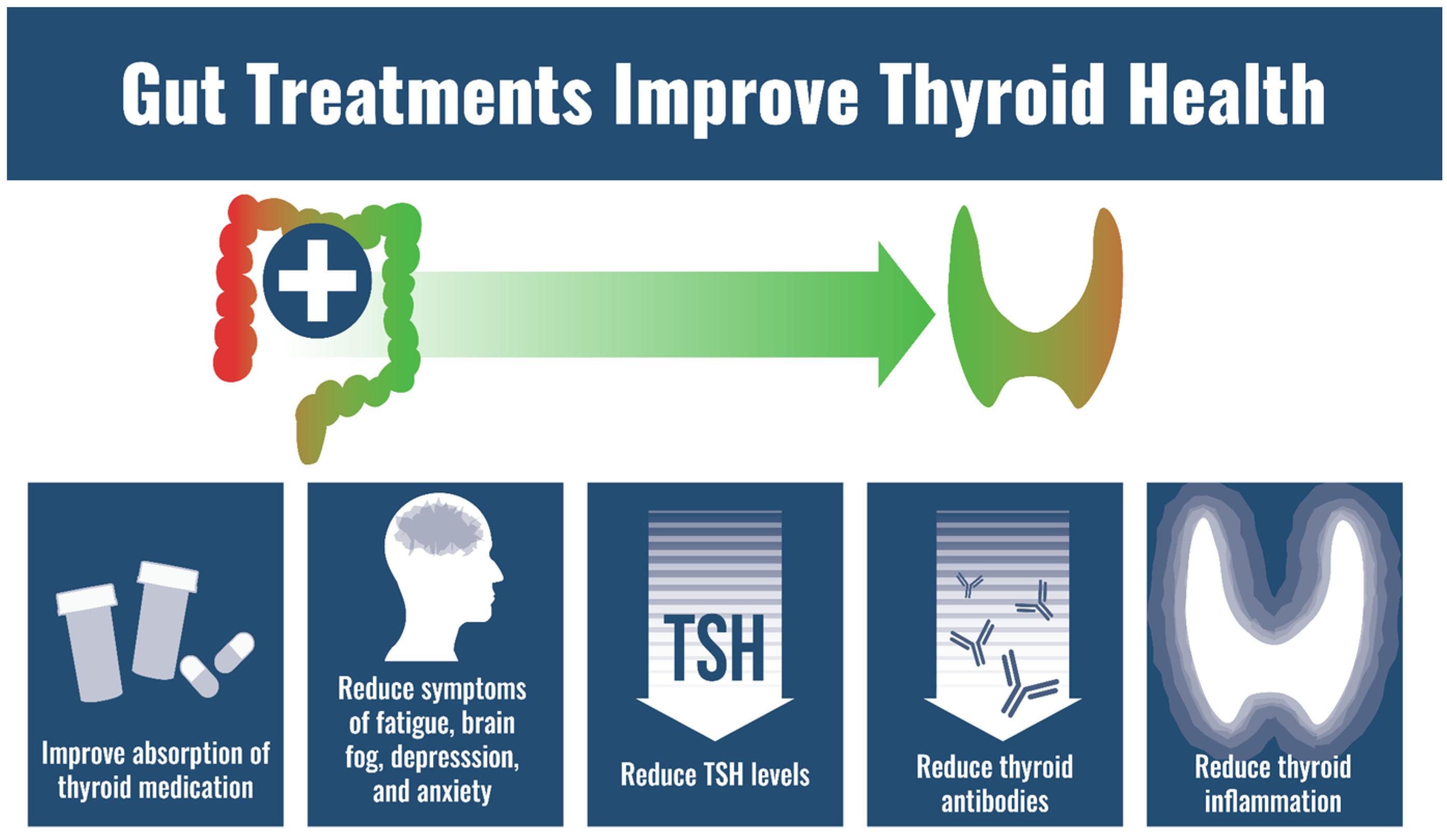 The THIRD type of autoimmune thyroid disease: Atrophic Thyroiditis –  Thyroid Patients Canada