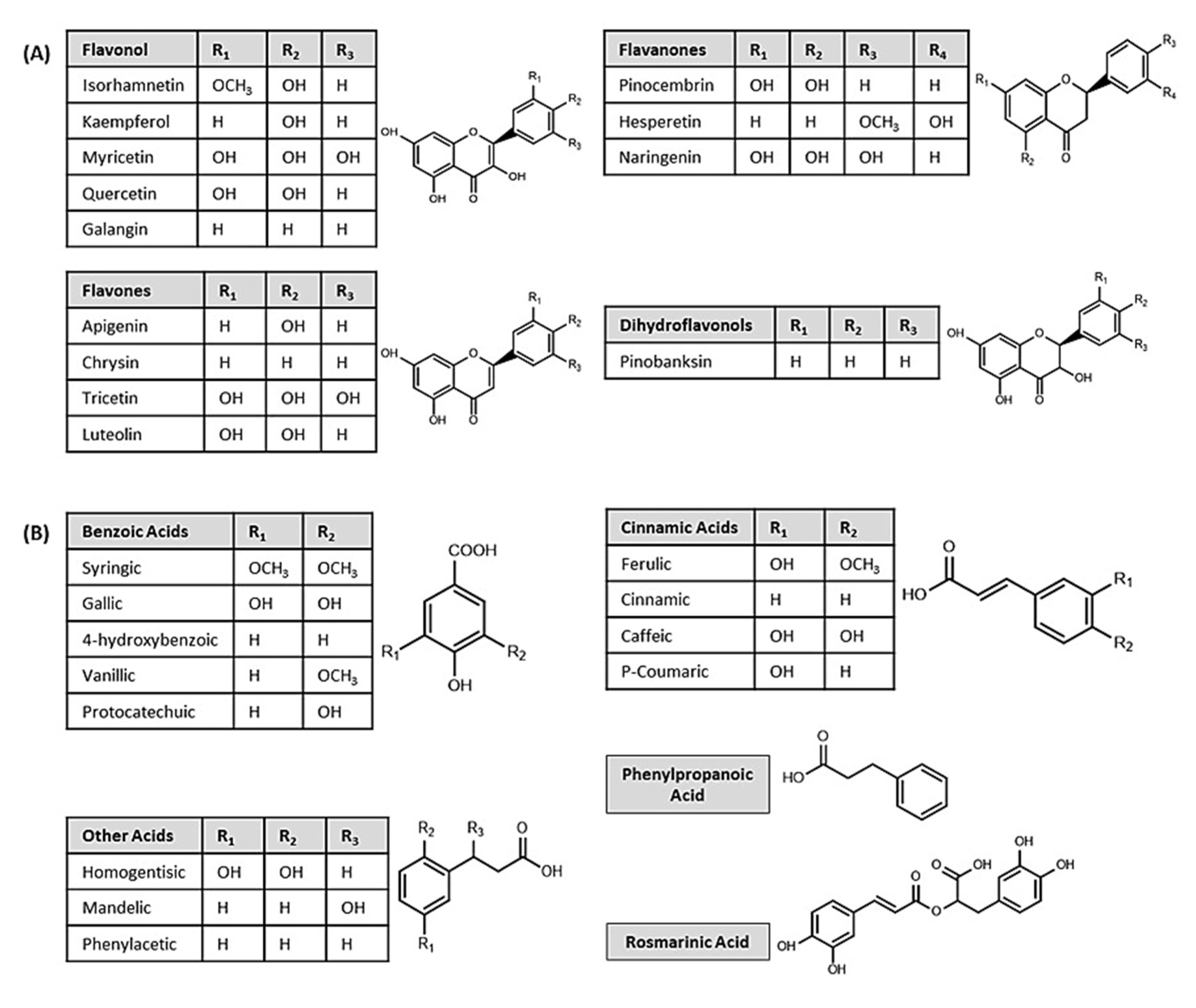 Nutrients 14 03579 g003 Nutrients 14 03579 g003