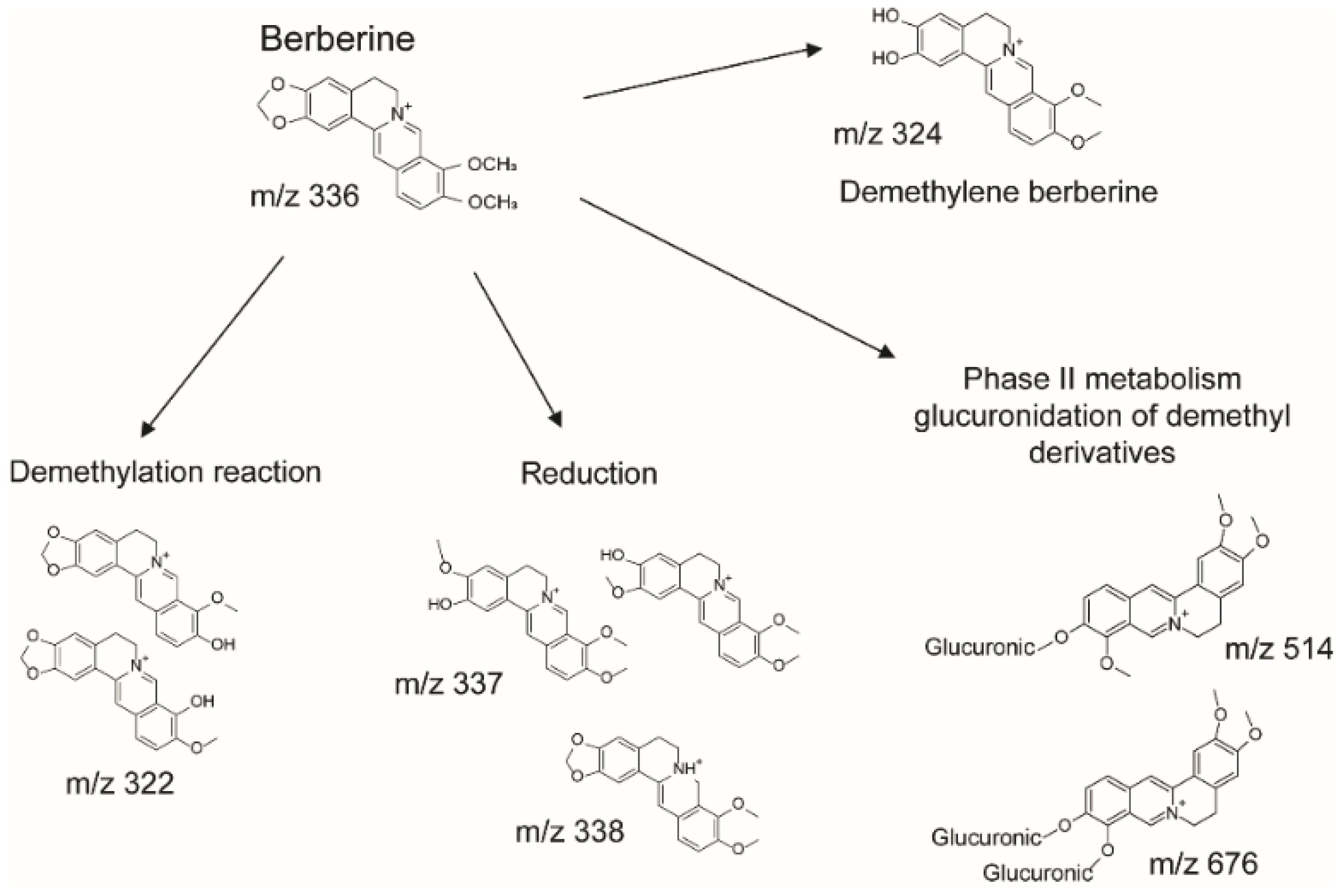 Nutrients 14 03595 g003