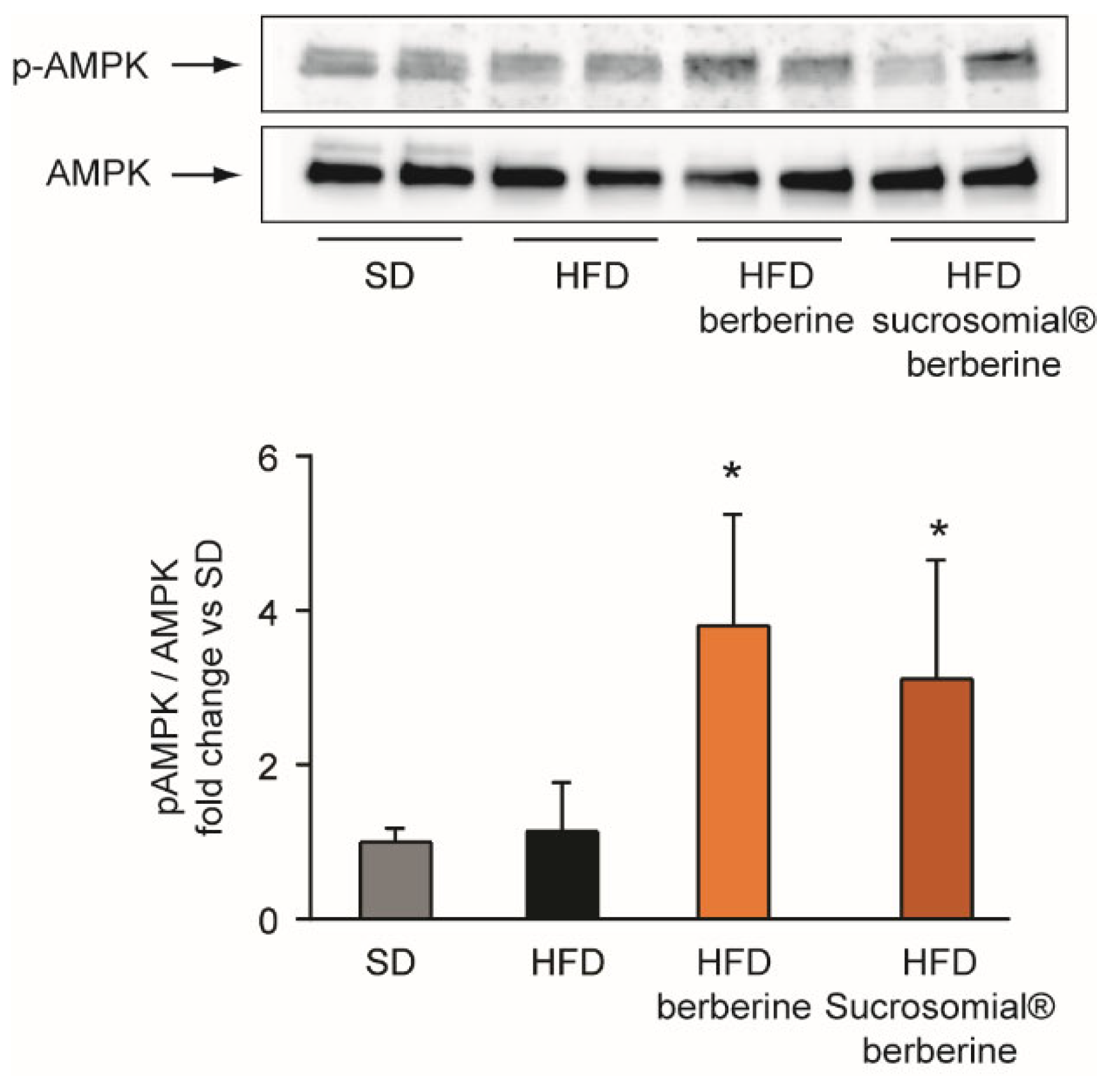 Nutrients 14 03595 g007