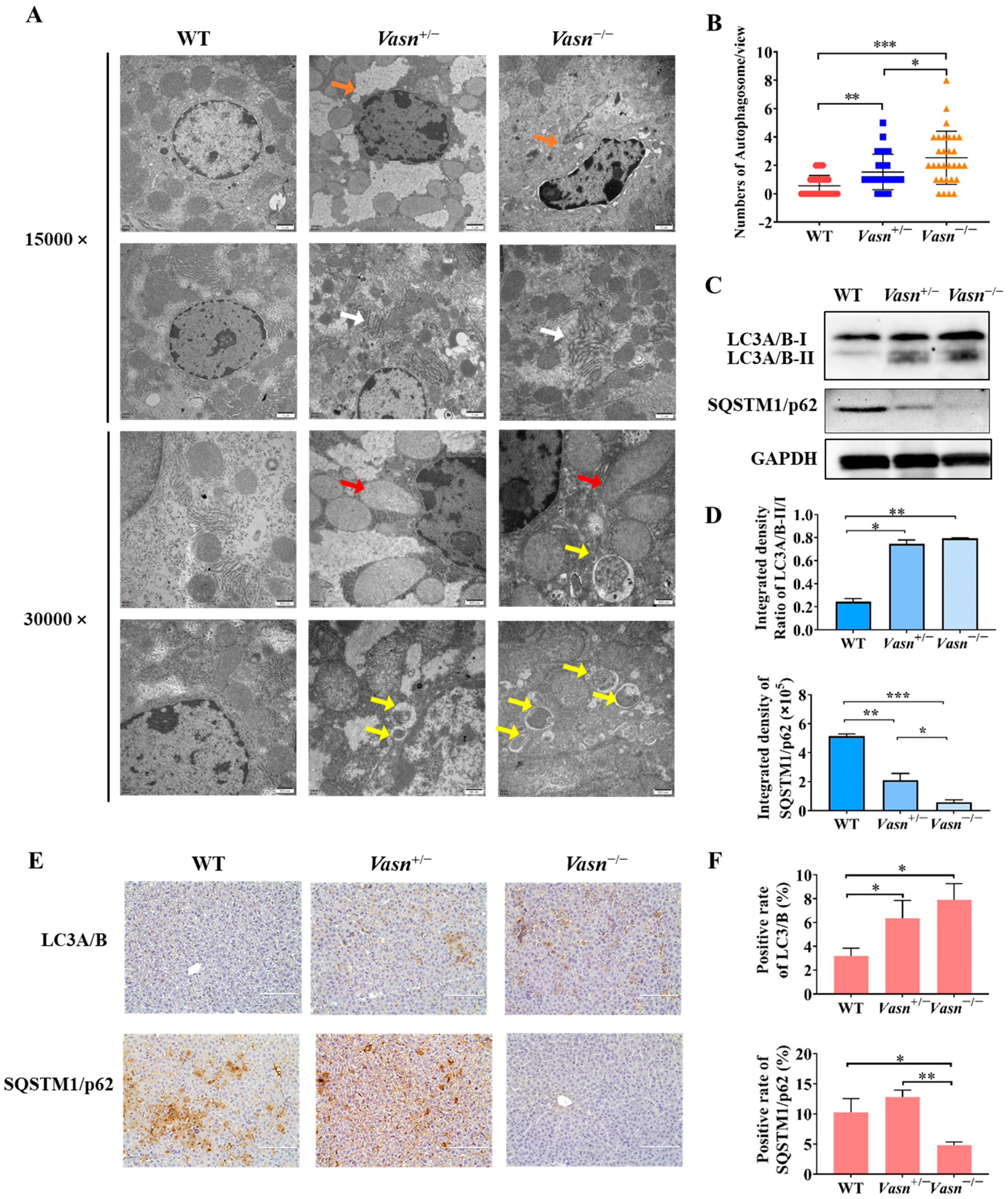 Nutrients 14 03600 g004