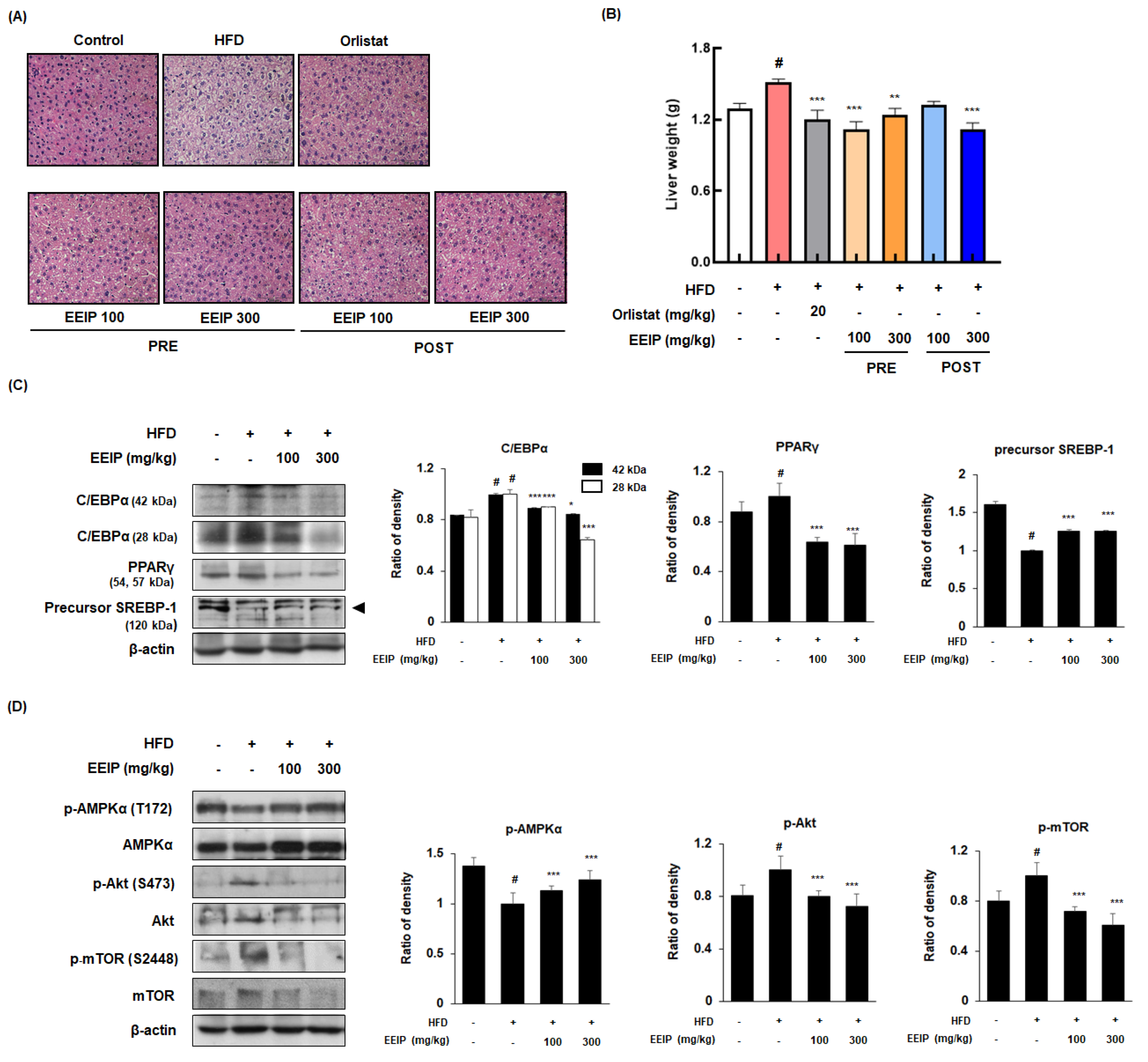 Nutrients 14 03685 g007
