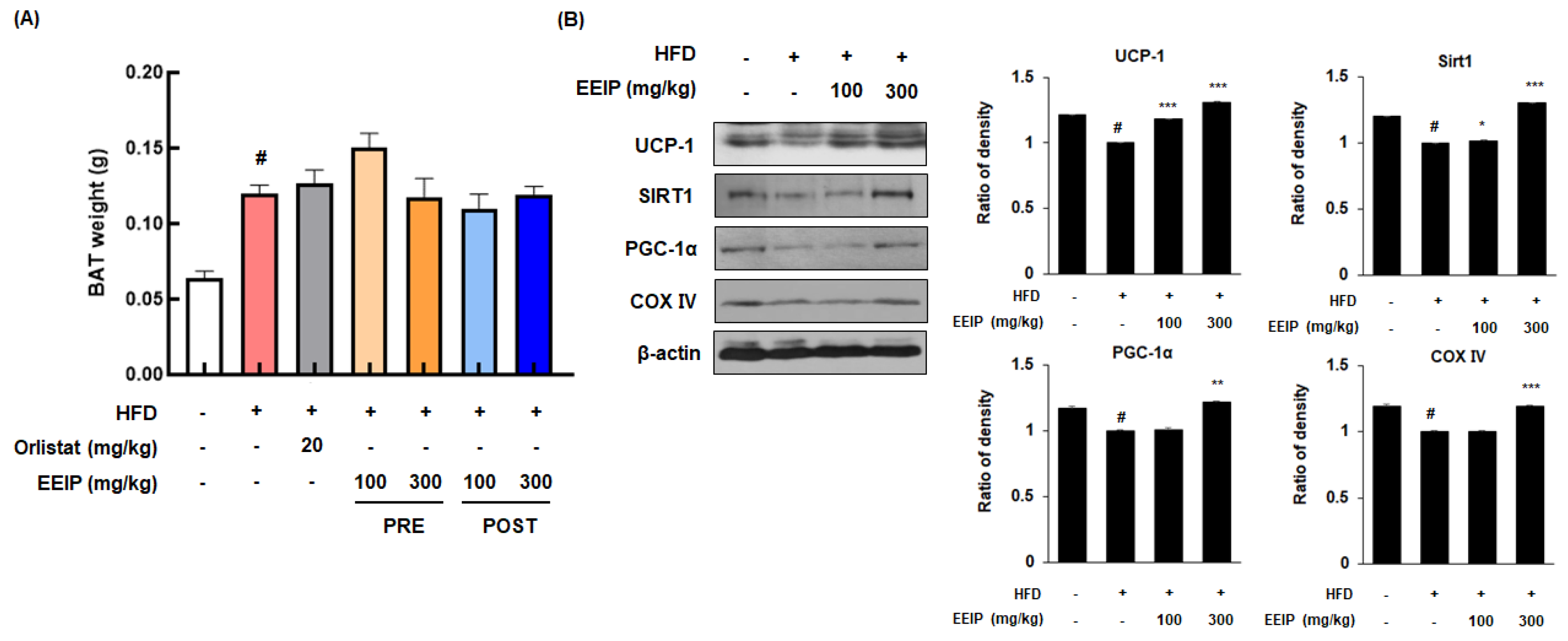 Nutrients 14 03685 g008