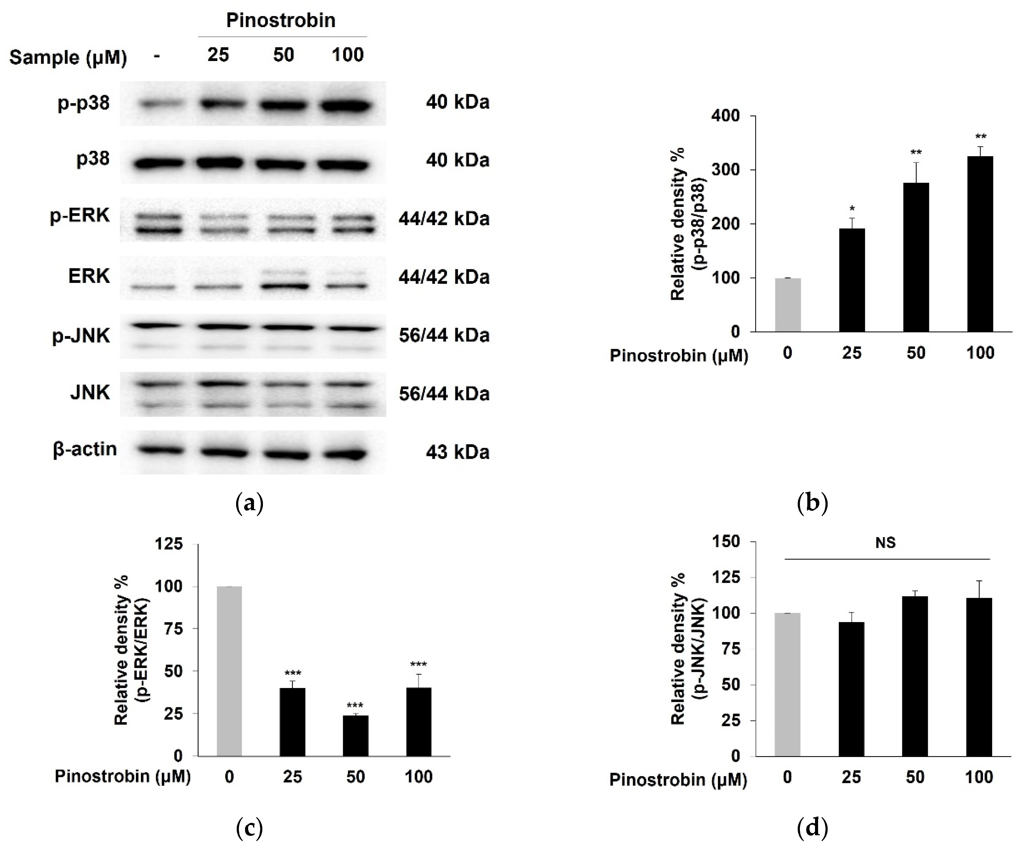 Nutrients 14 03713 g005