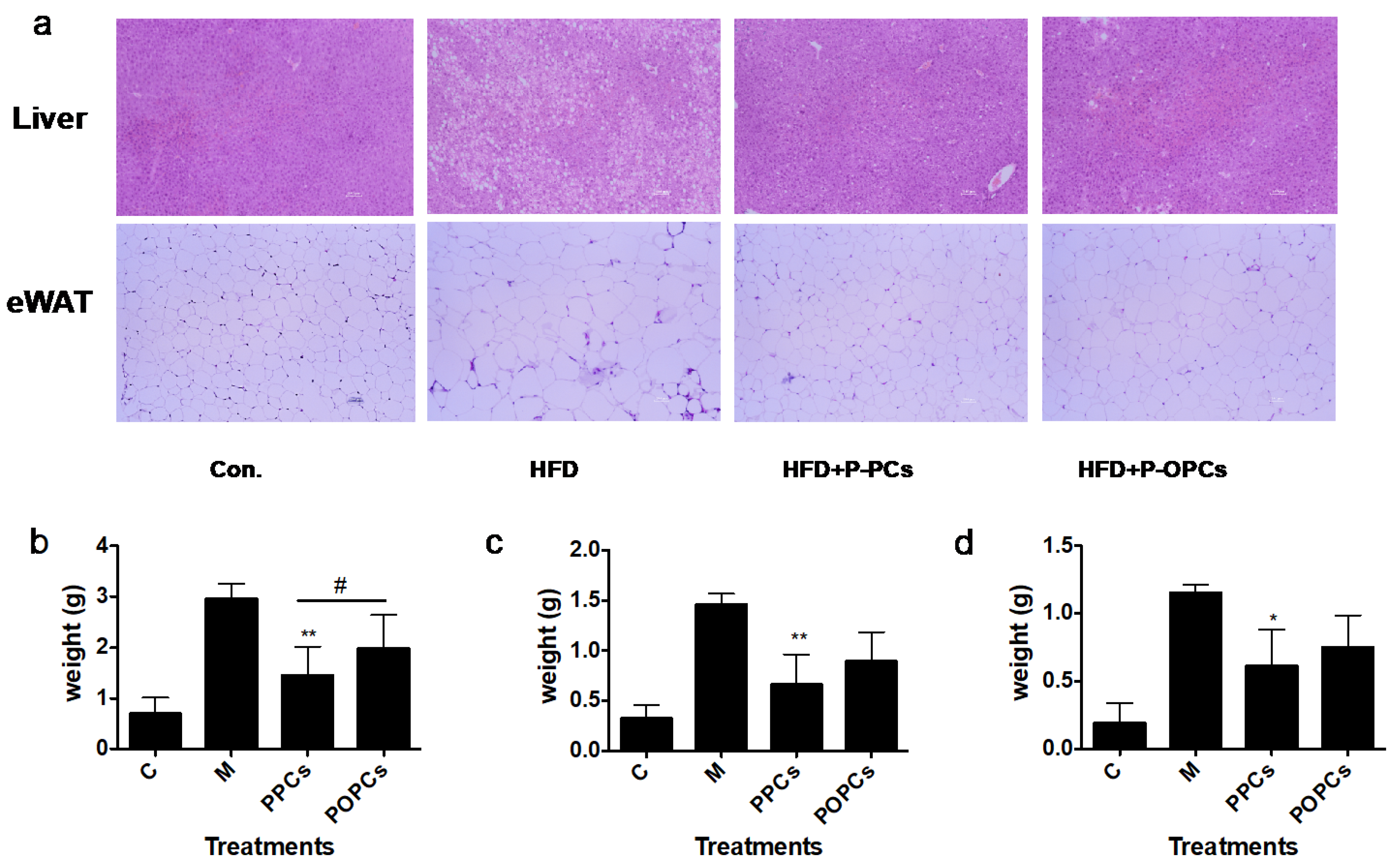 Nutrients 14 03718 g003a
