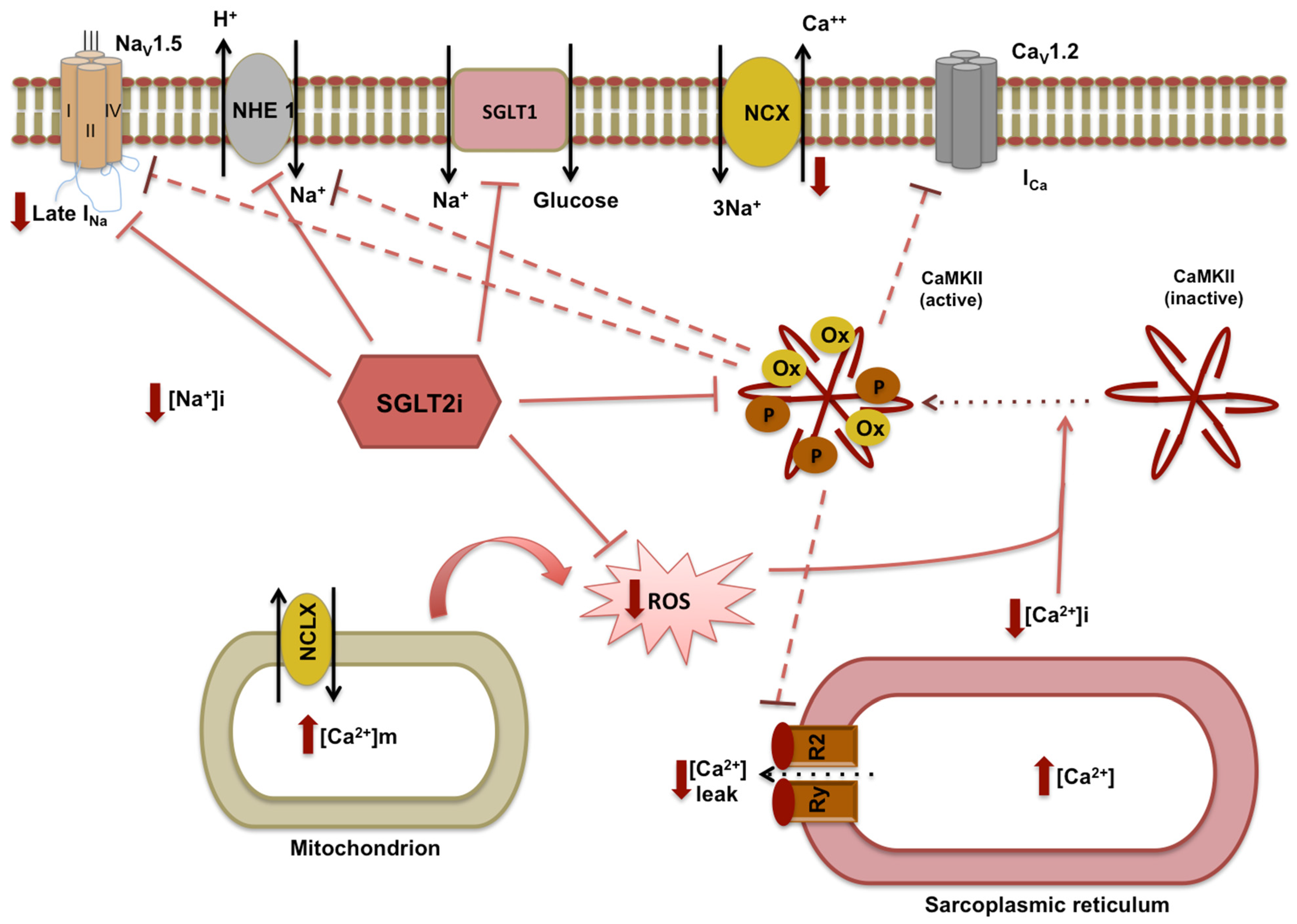 Nutrients 14 03737 g002