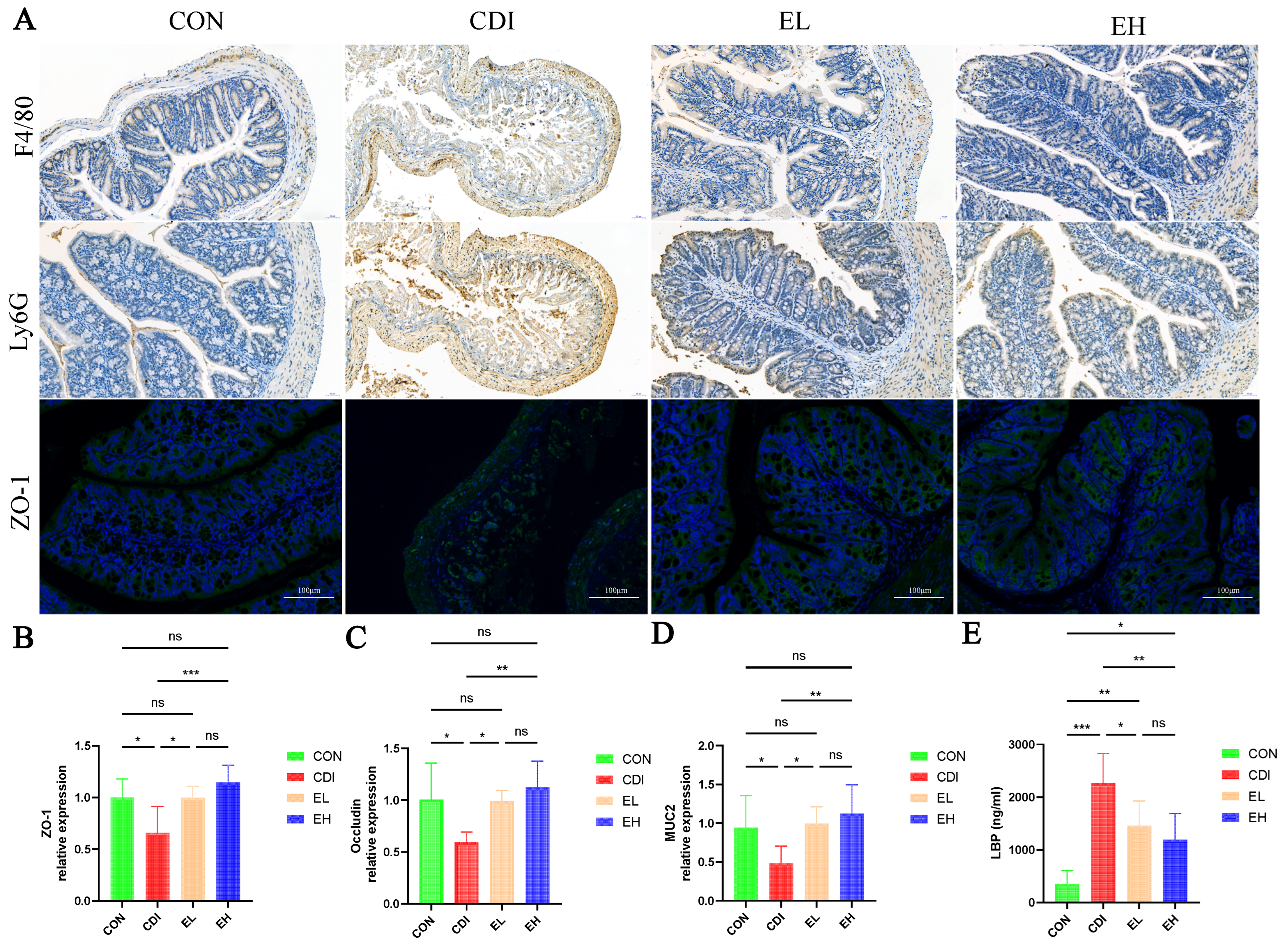 Nutrients 14 03756 g002