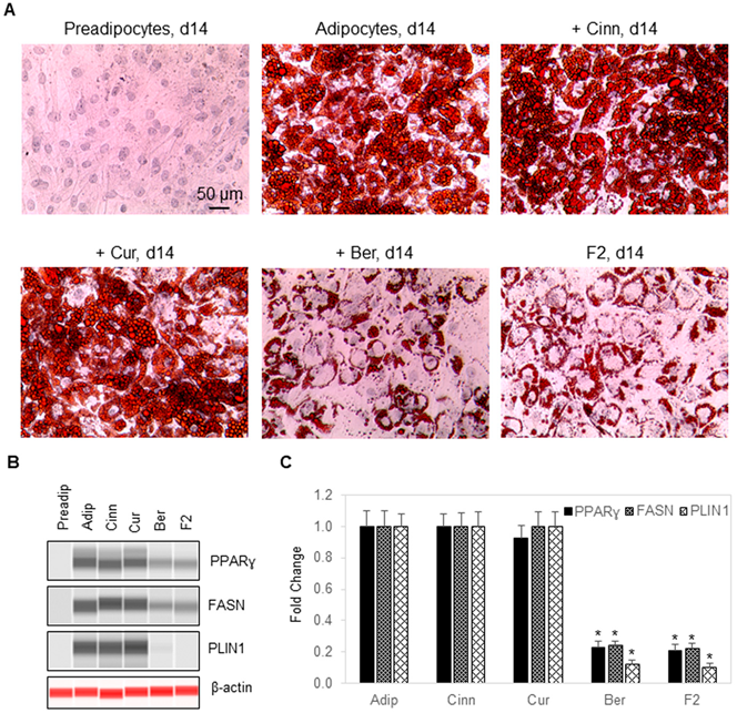 Nutrients 14 03784 g004
