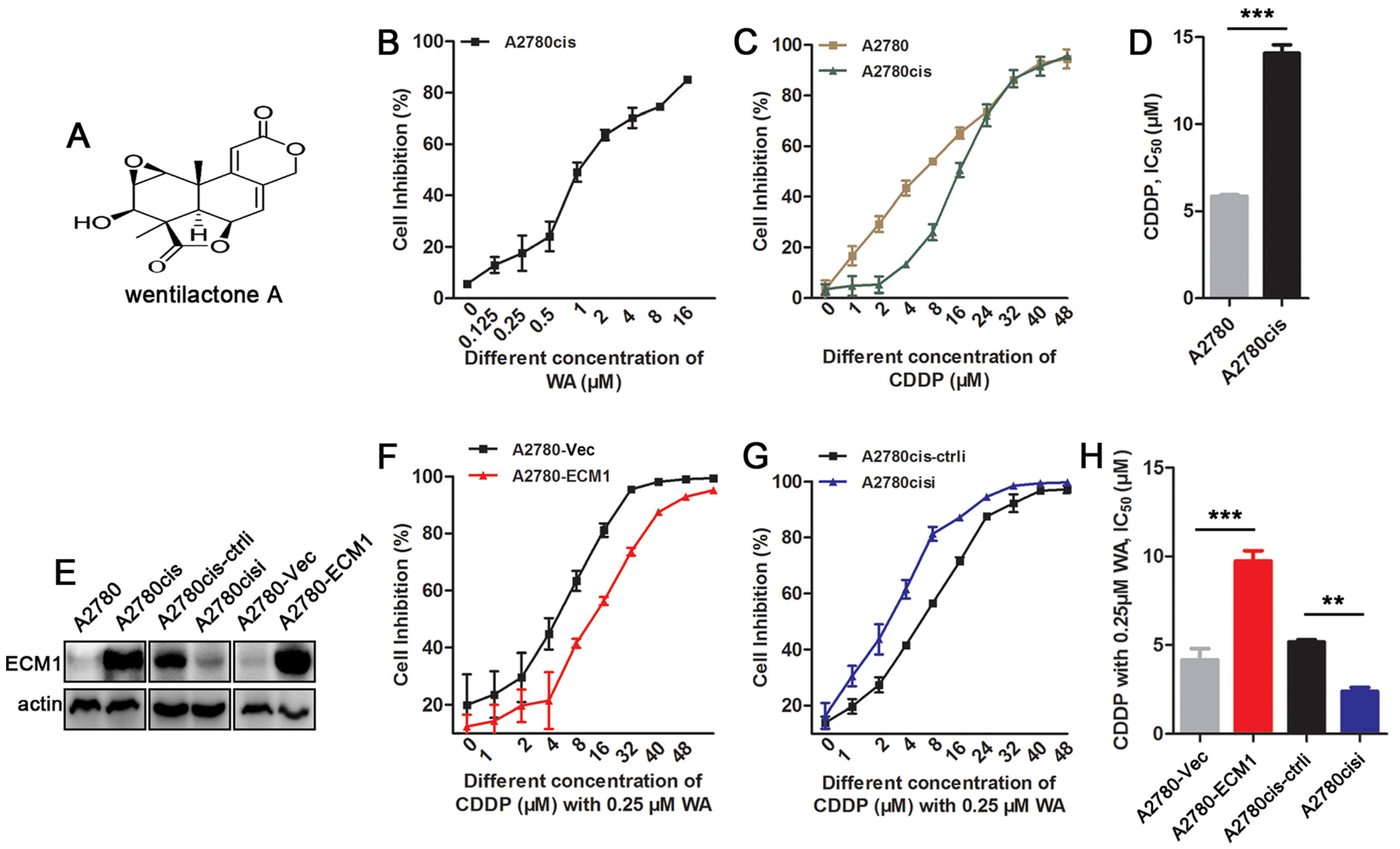 Nutrients 14 03790 g001