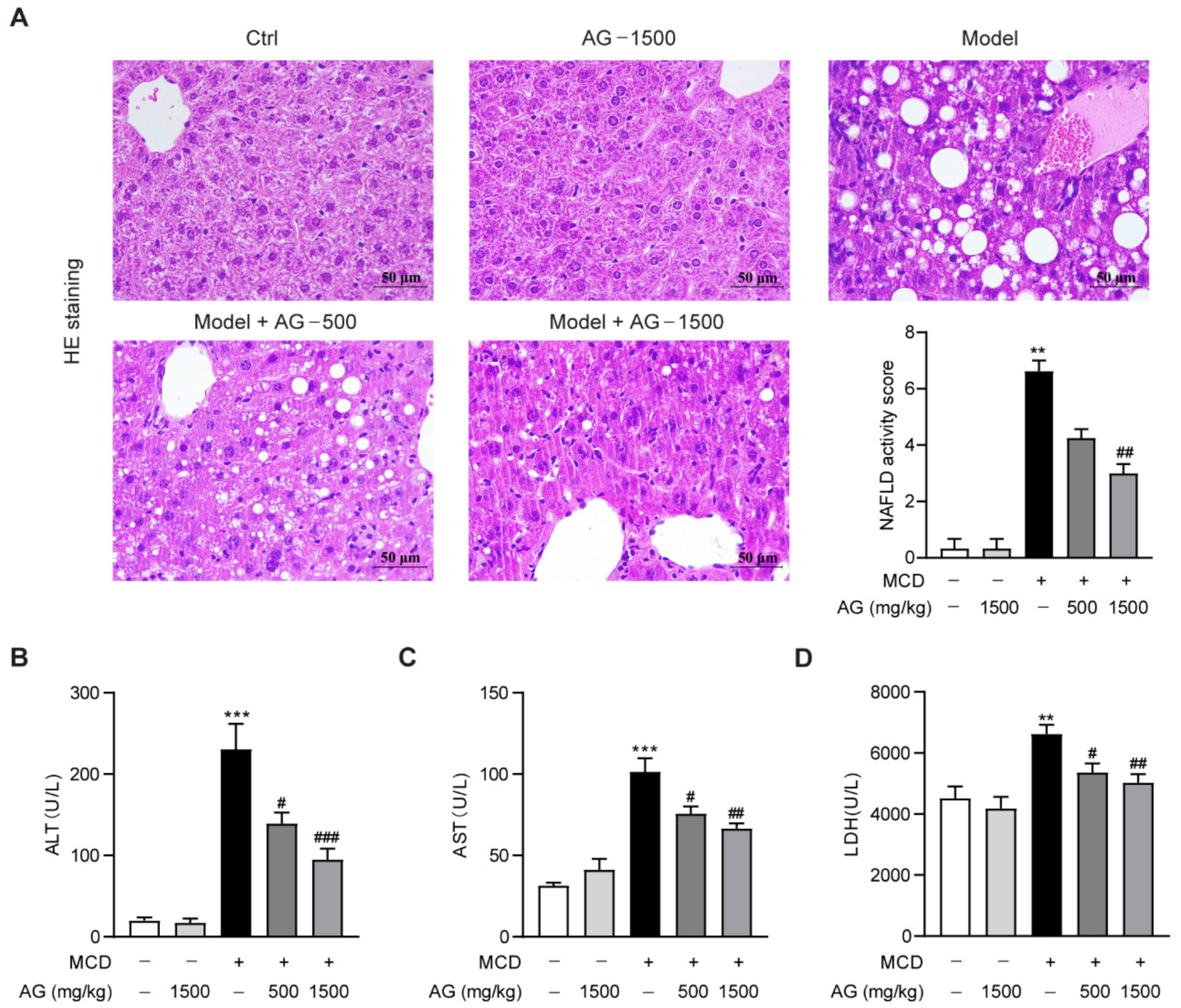 Nutrients 14 03796 g001