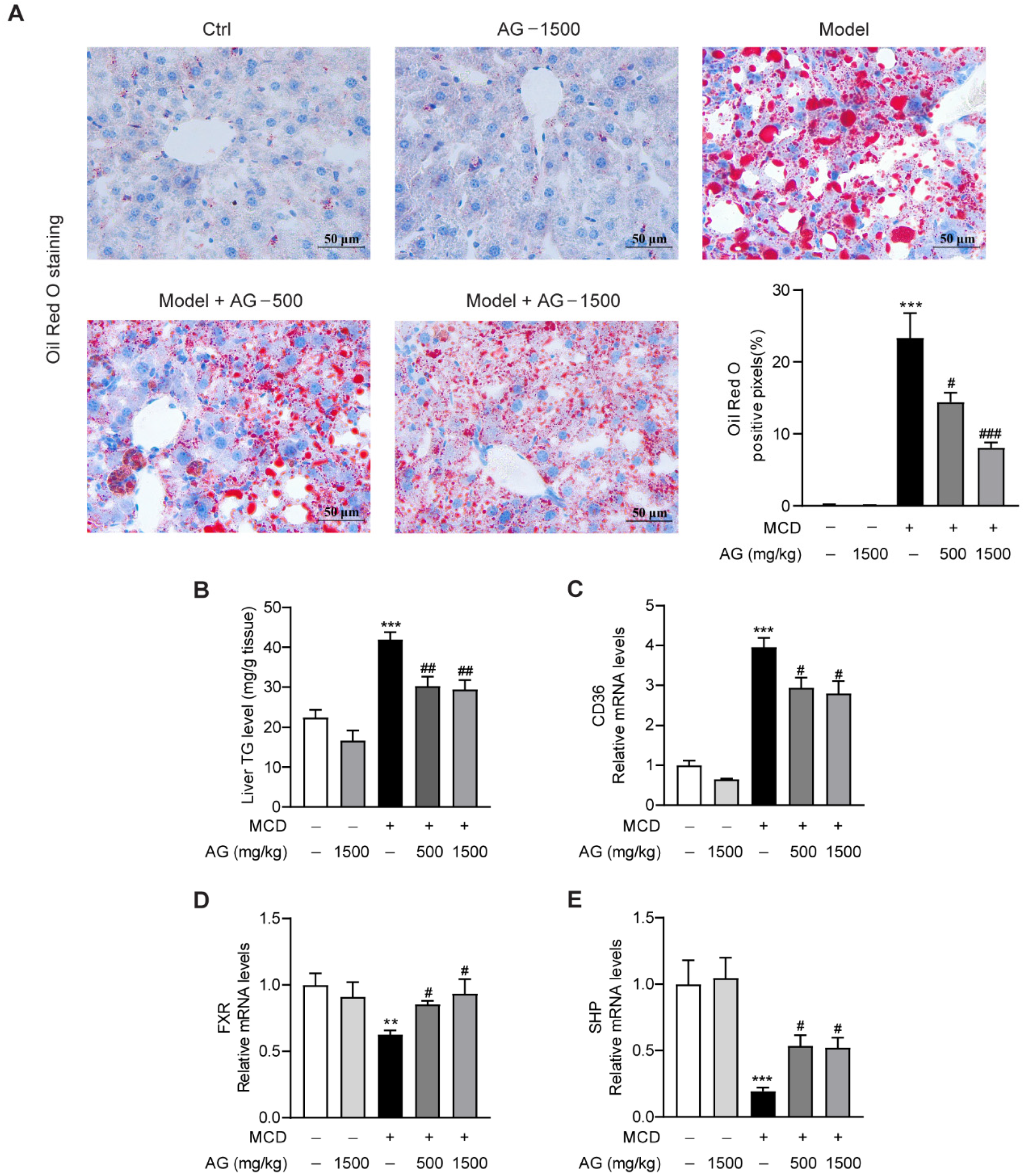 Nutrients 14 03796 g002