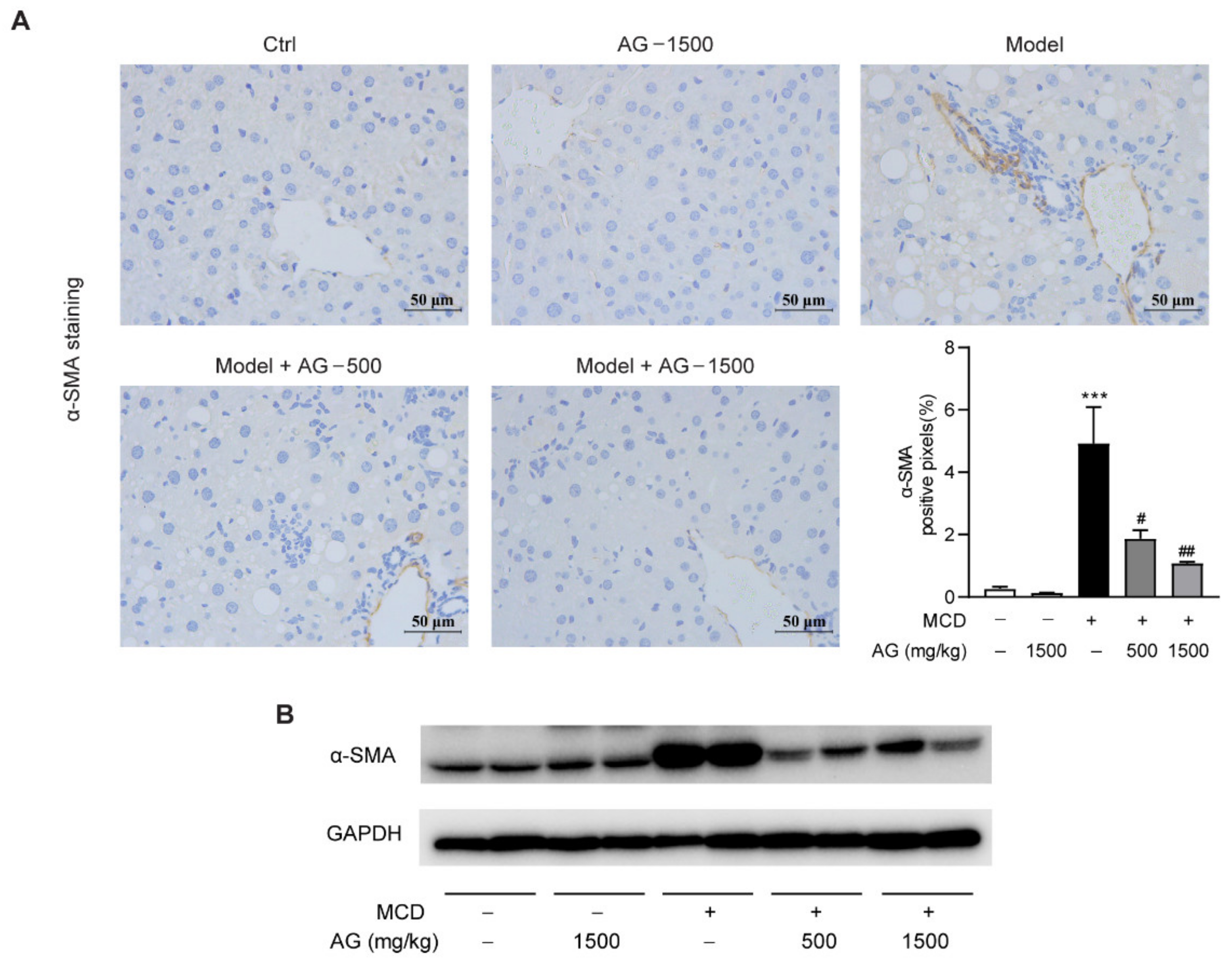 Nutrients 14 03796 g006