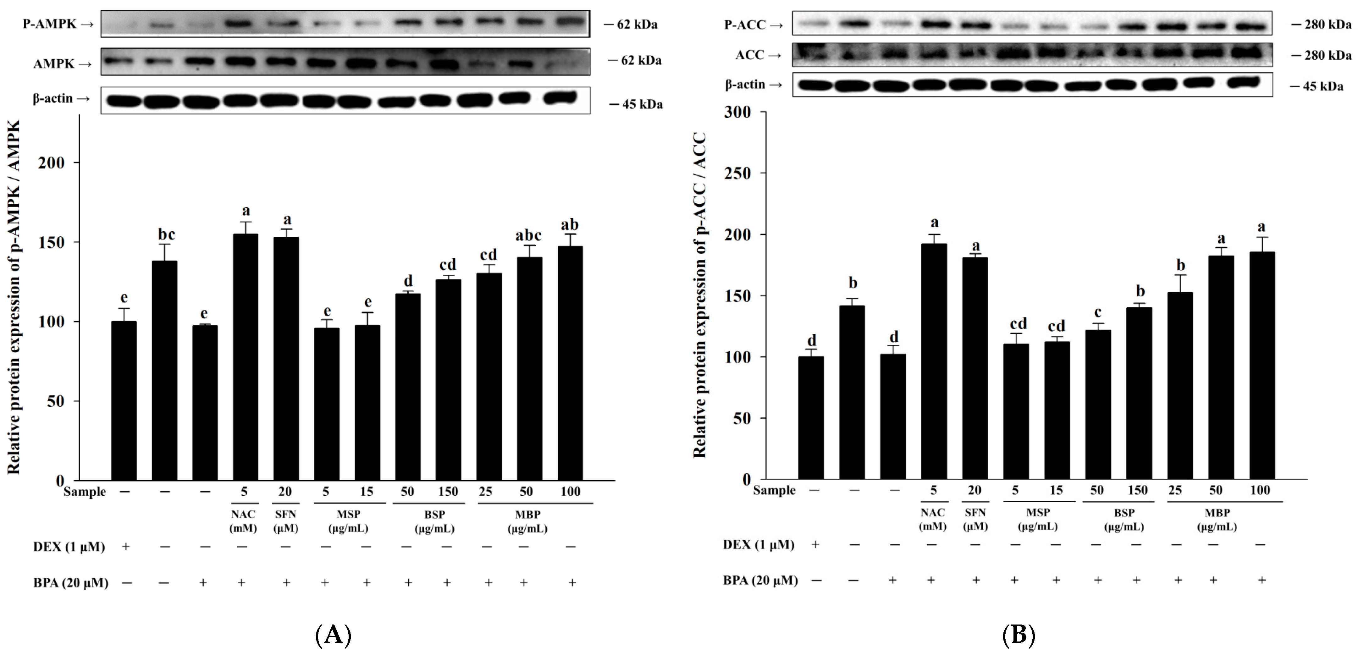 Nutrients 14 03814 g003 Nutrients 14 03814 g003