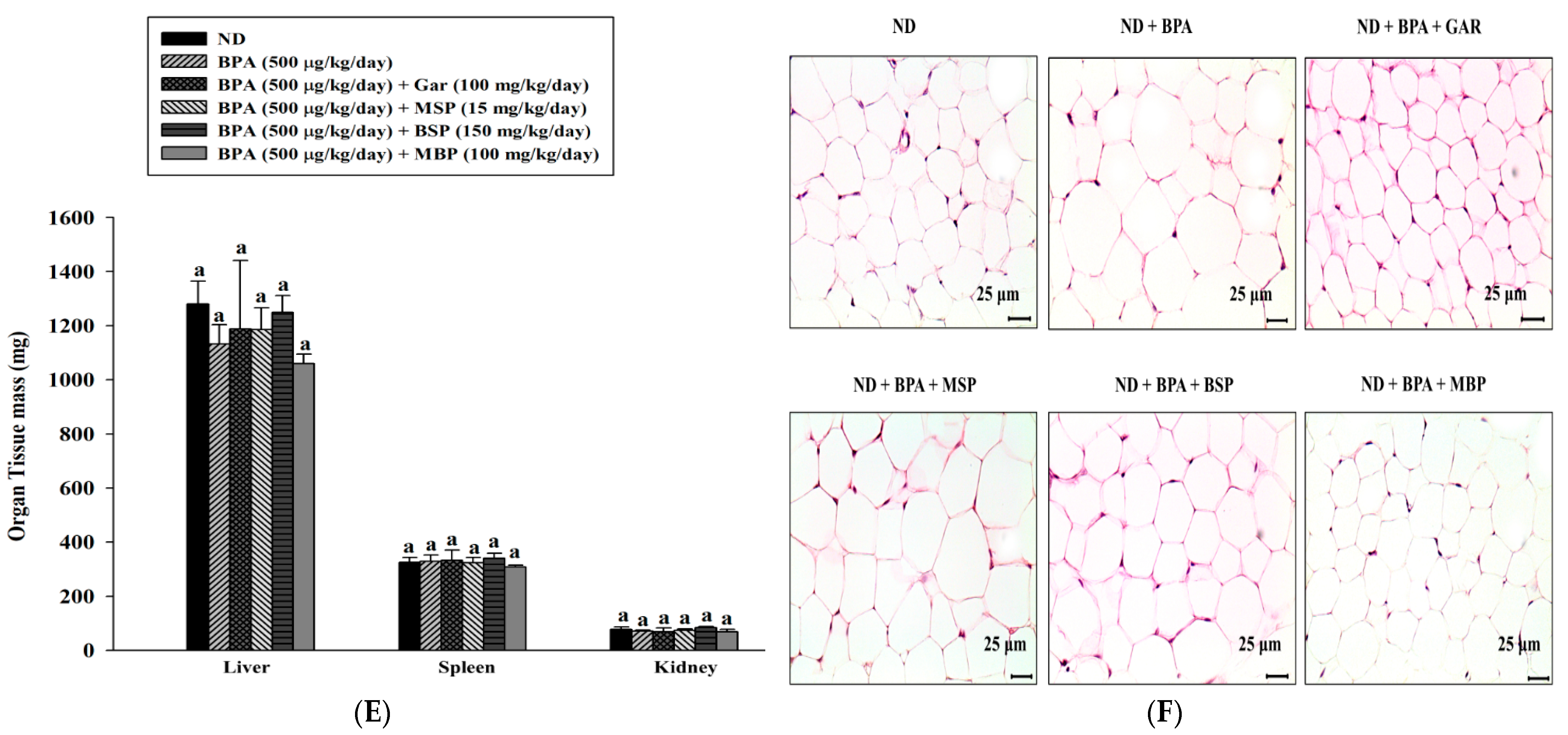 Nutrients 14 03814 g004b Nutrients 14 03814 g004b