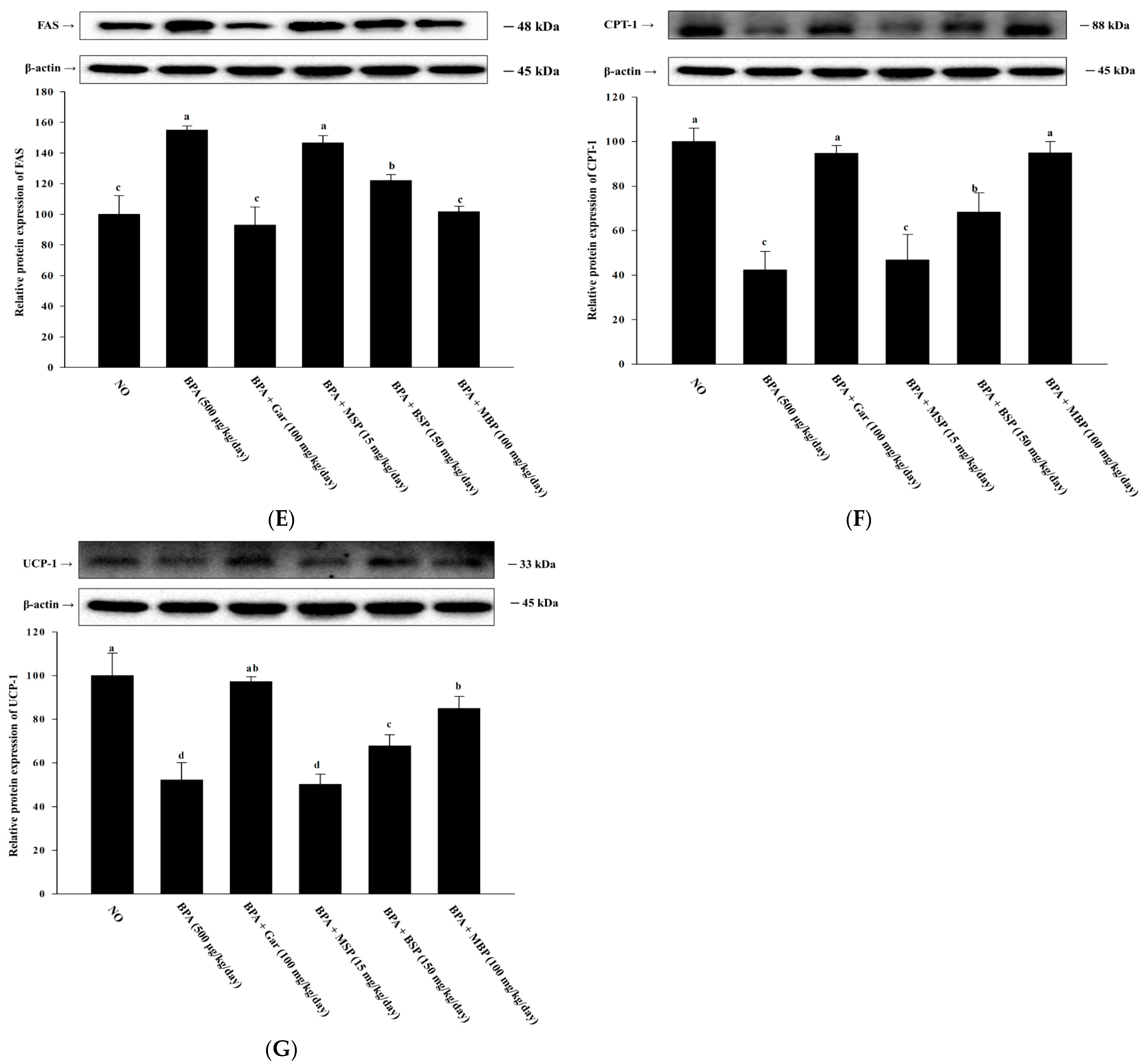 Nutrients 14 03814 g005b Nutrients 14 03814 g005b