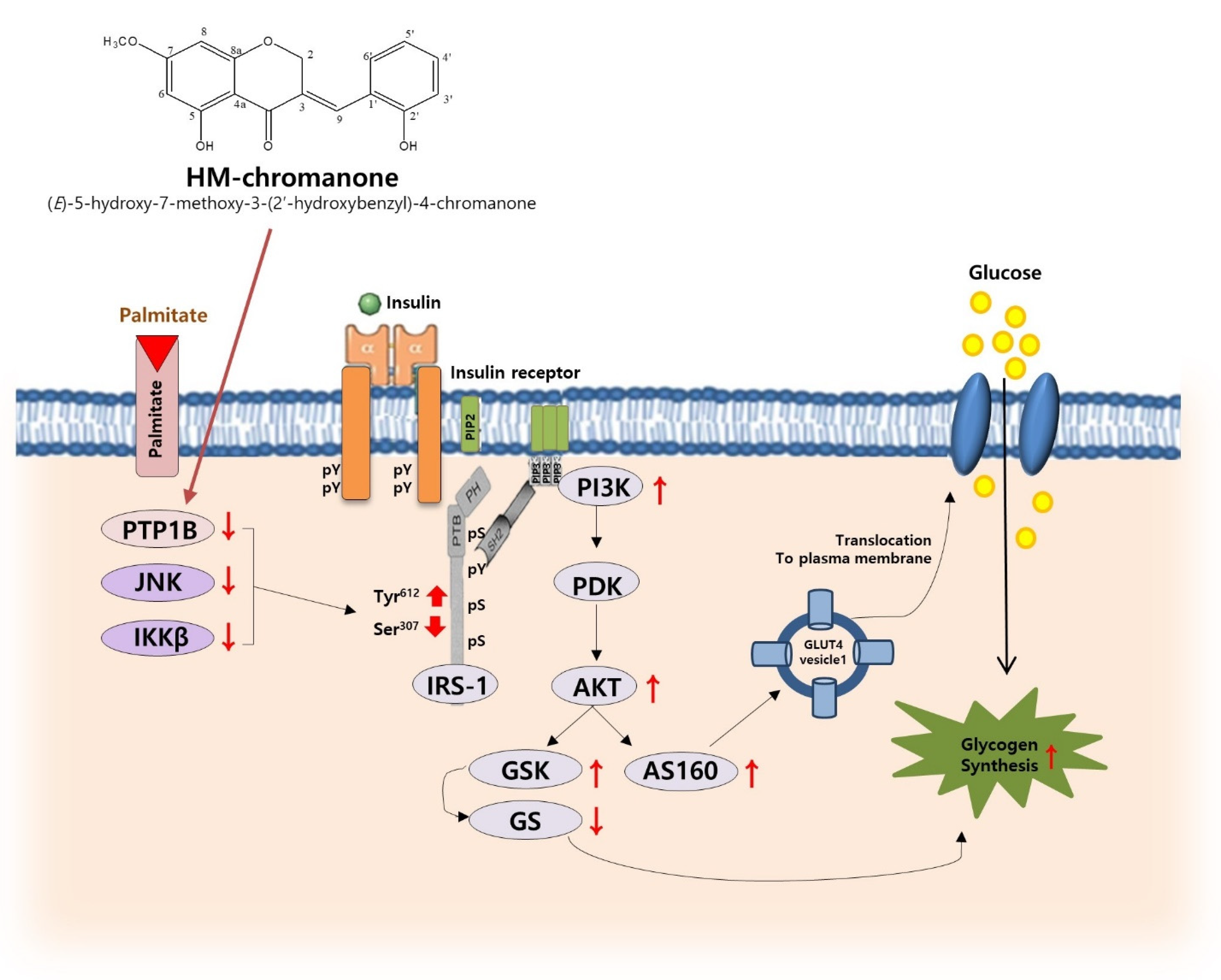 Nutrients 14 03815 g007