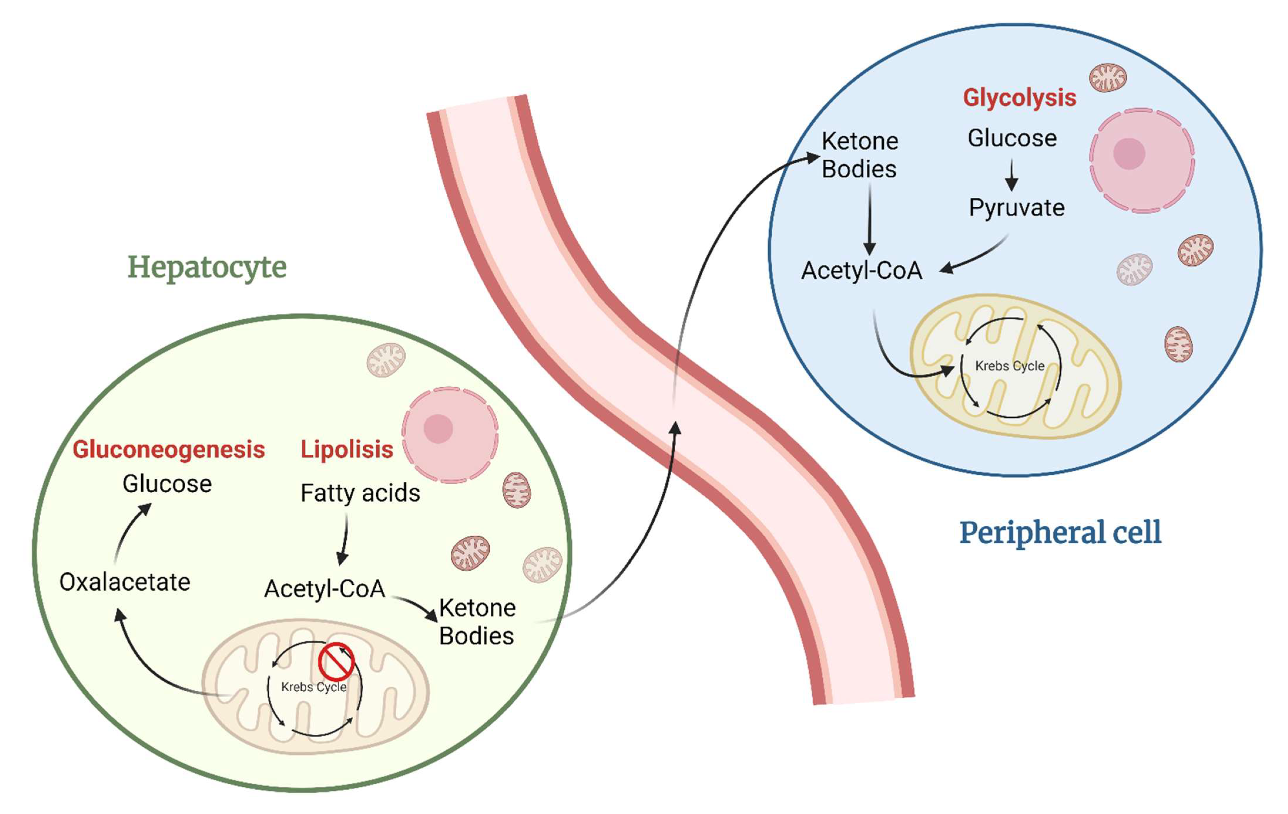 Nutrients 14 03851 g002 Nutrients 14 03851 g002