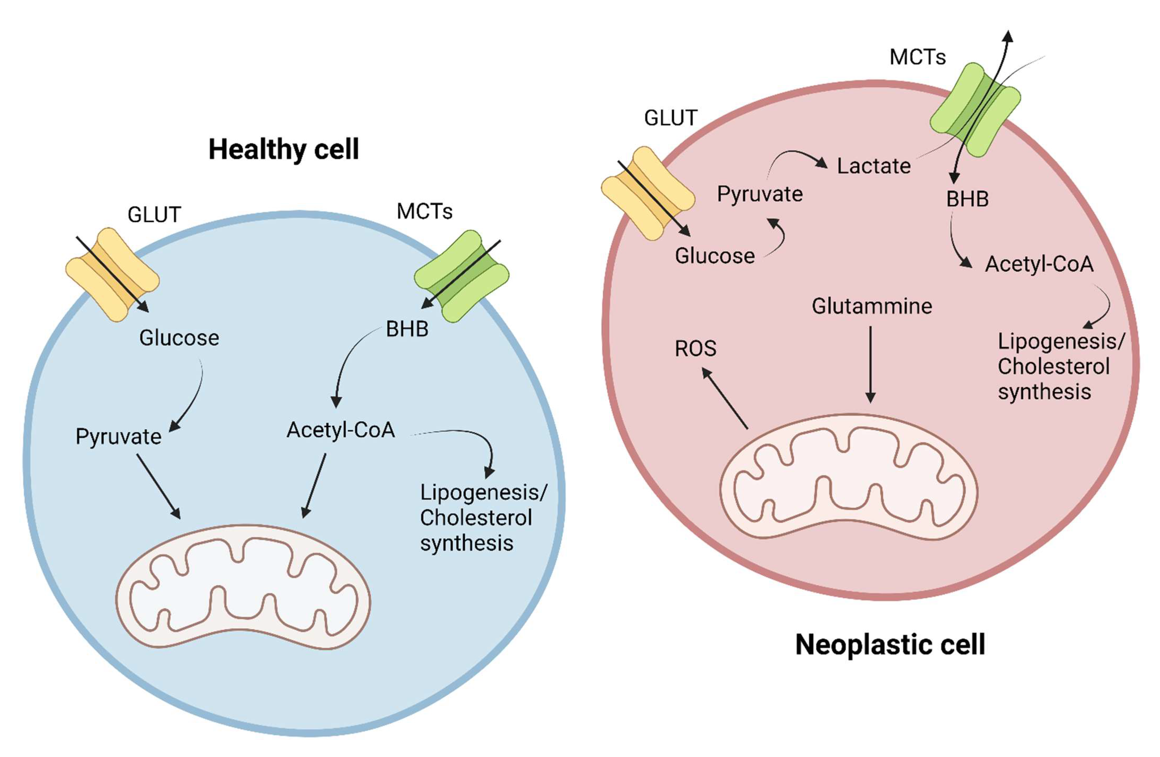 Nutrients 14 03851 g003 Nutrients 14 03851 g003
