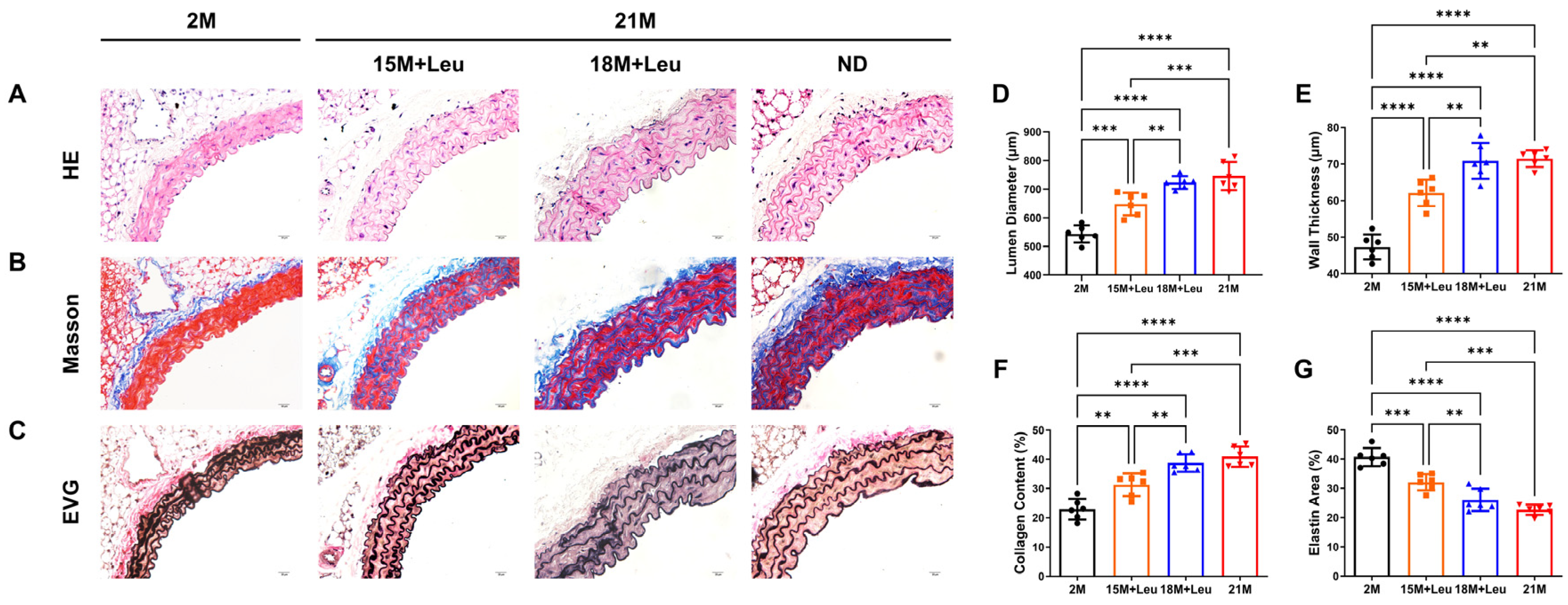 Nutrients 14 03856 g002 Nutrients 14 03856 g002