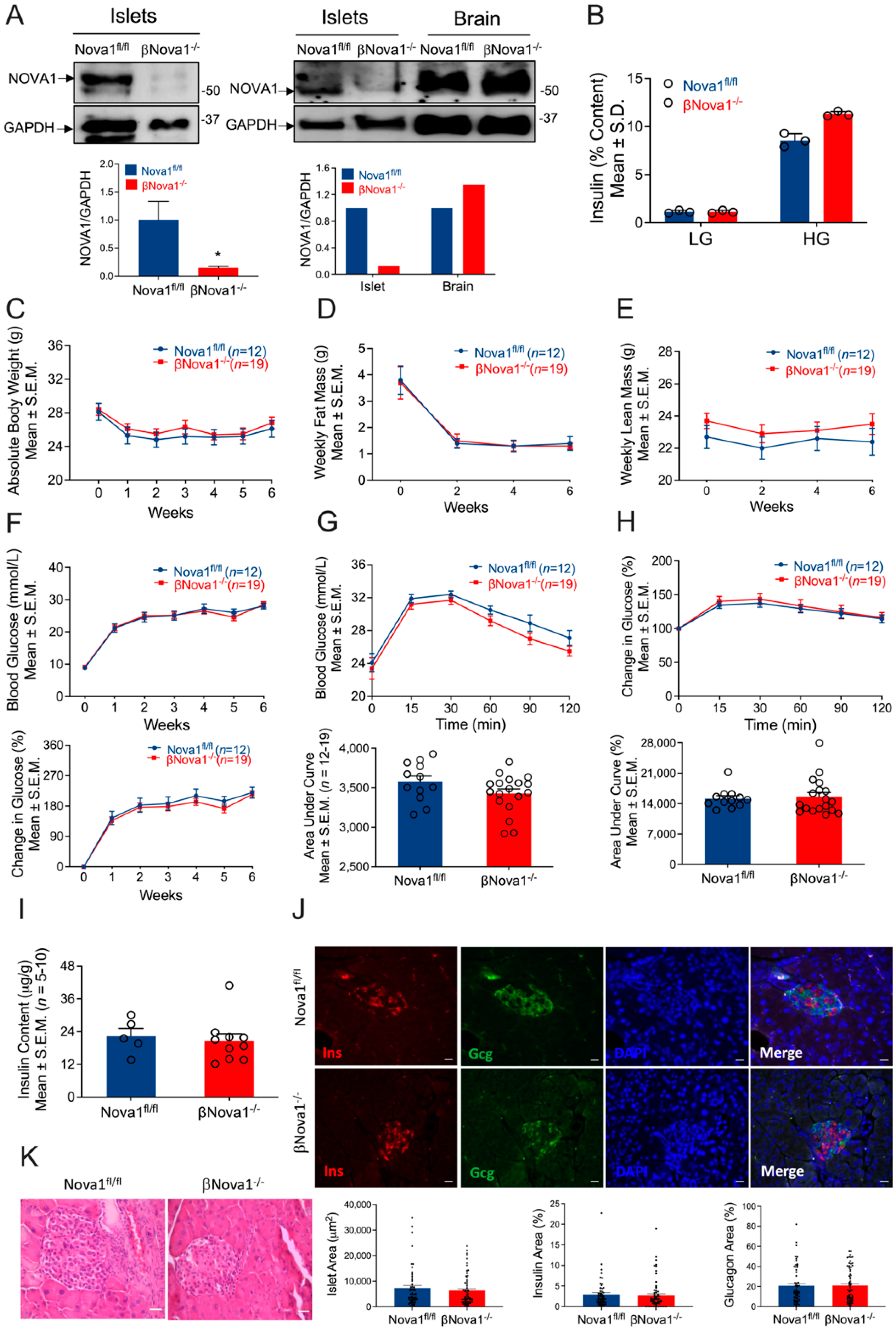 Nutrients 14 03866 g001 Nutrients 14 03866 g001