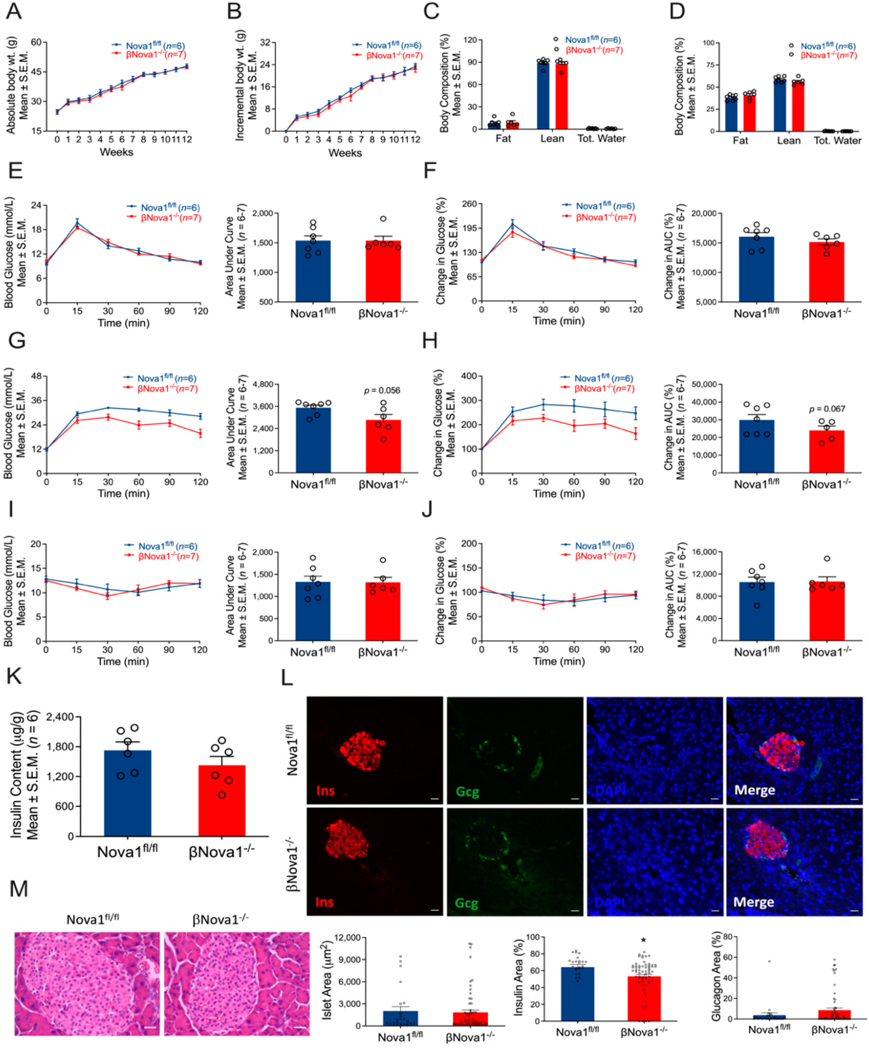 Nutrients 14 03866 g002 Nutrients 14 03866 g002