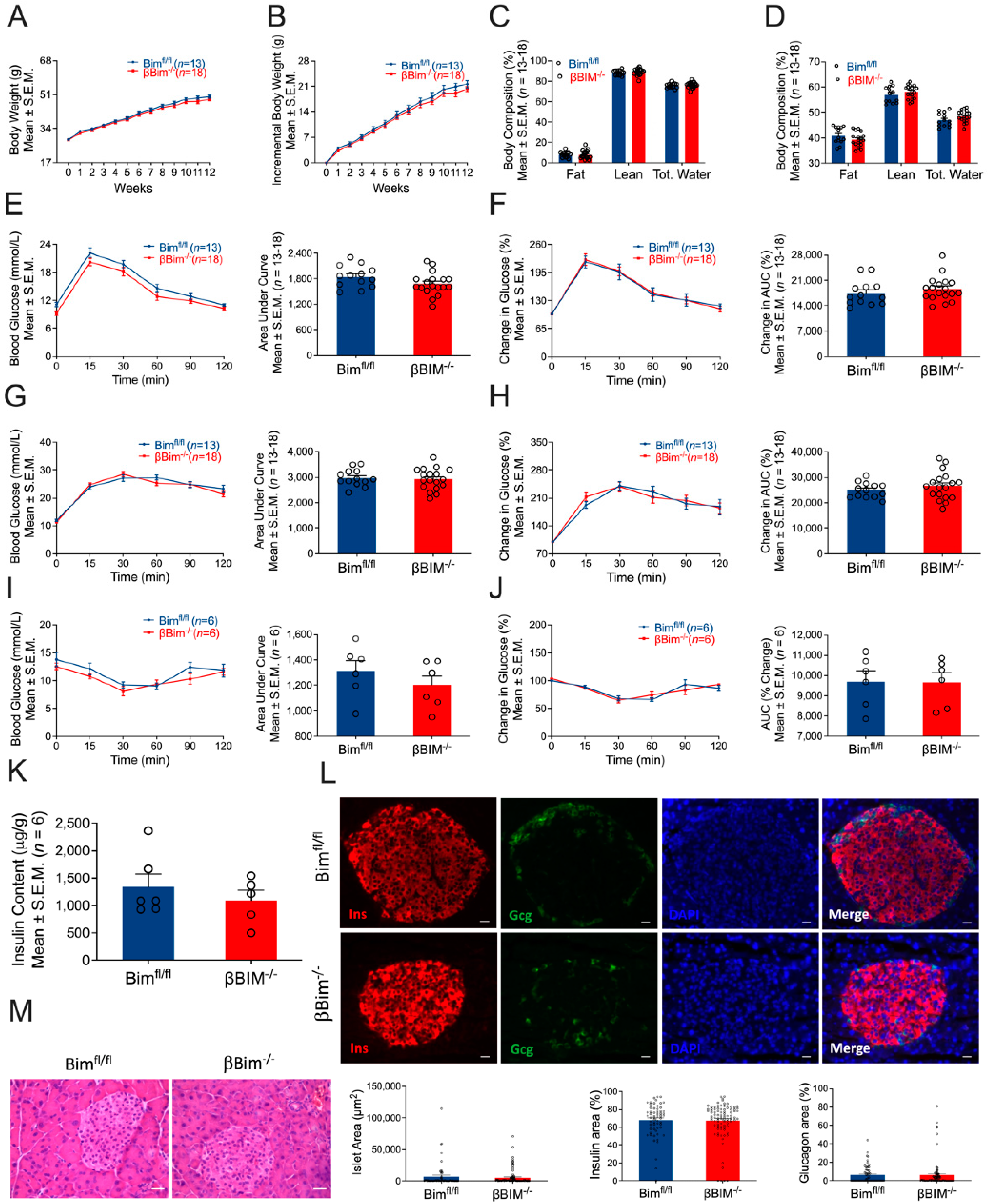 Nutrients 14 03866 g004 Nutrients 14 03866 g004