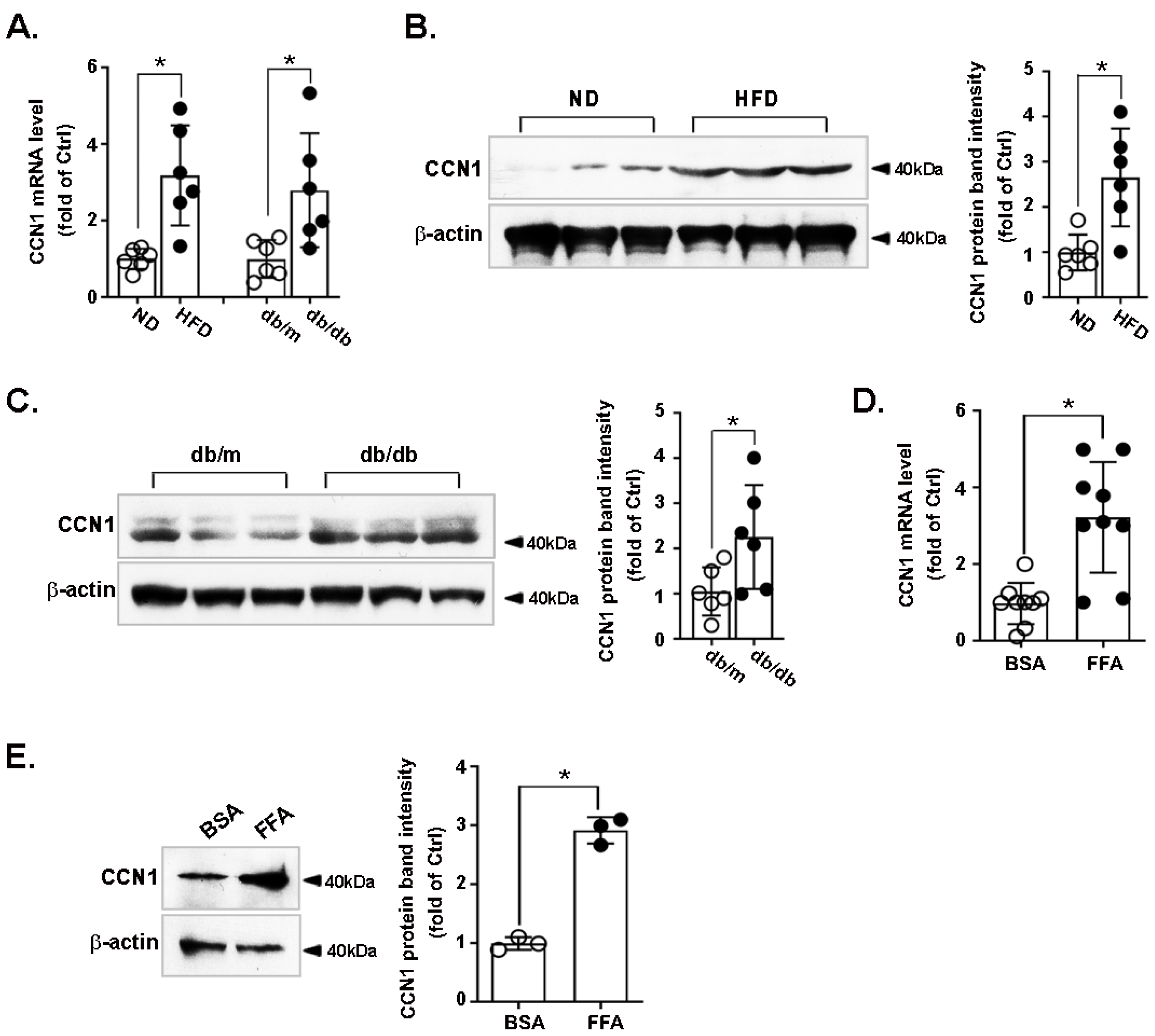 Nutrients 14 03871 g001 Nutrients 14 03871 g001